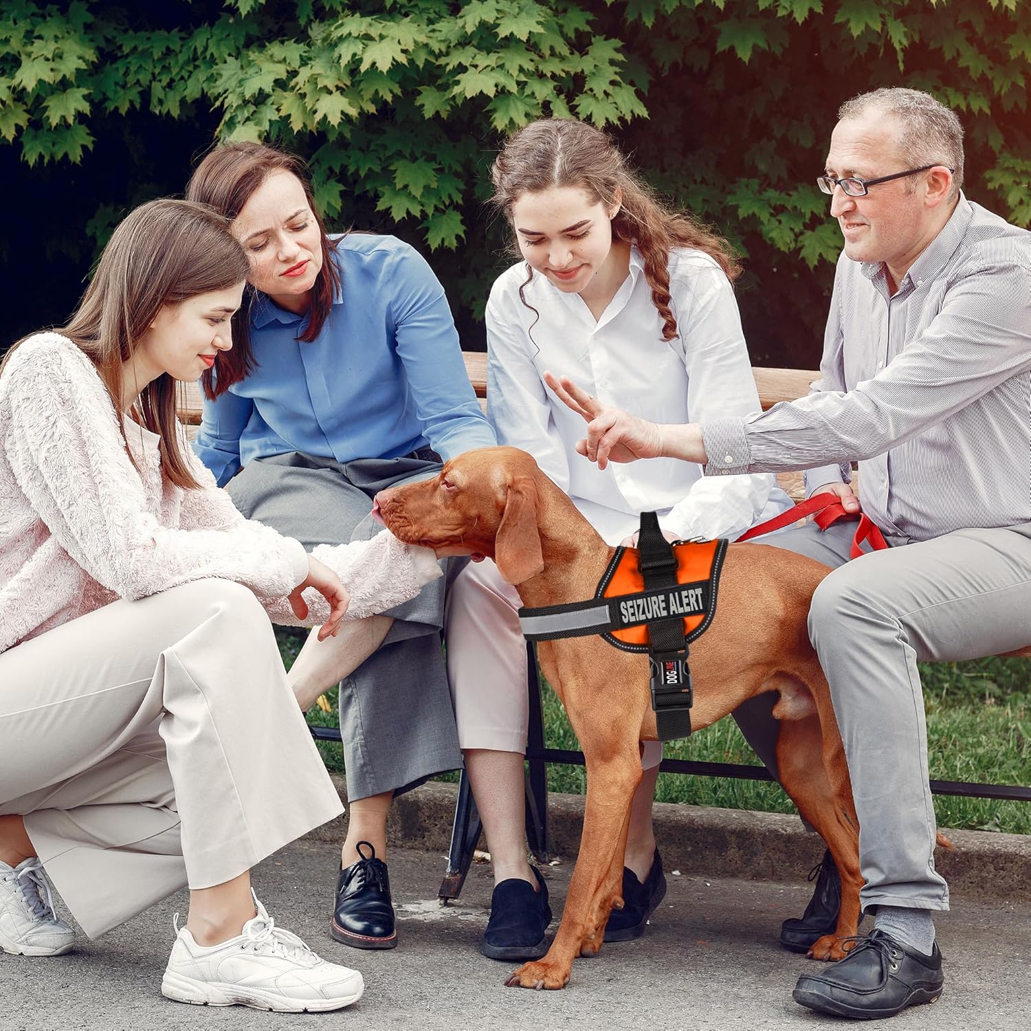 Dogline Unimax Multi-Purpose Dog Harness Vest with Seizure Alert Patches Adjustable Straps, Comfy Fit, Breathable Neoprene for Service, Identification and Training Dogs Orange Extra Girth 15"-19"