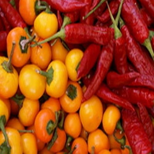 Pear and Cranberry Cocktail - //medicalbooks.filipinodoctors.org