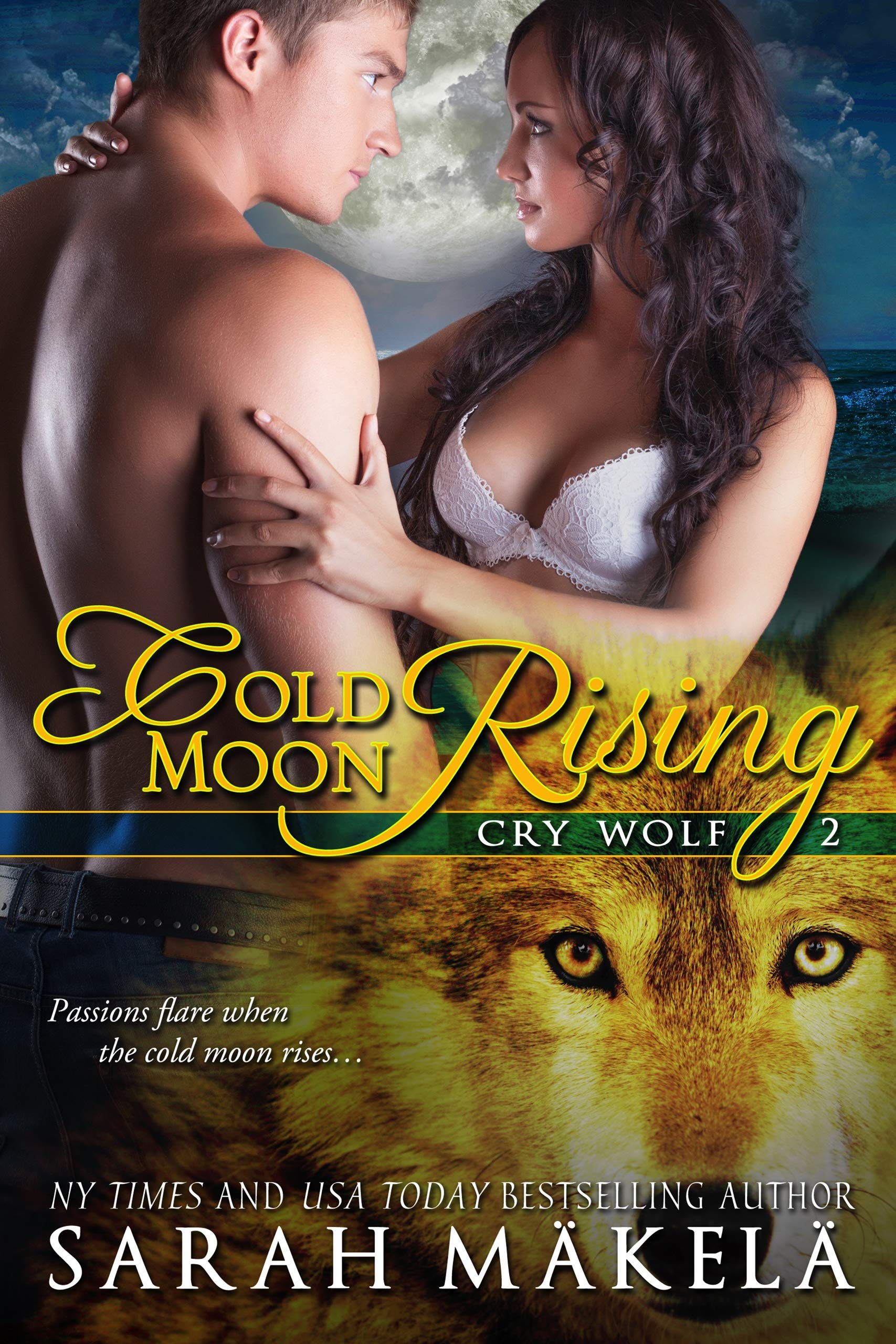 Cold Moon Rising: Shifter Romance (Cry Wolf Book 2)