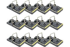 iTrap Mouse Control Rat Snap Trap: The Ultimate Rodent Solution