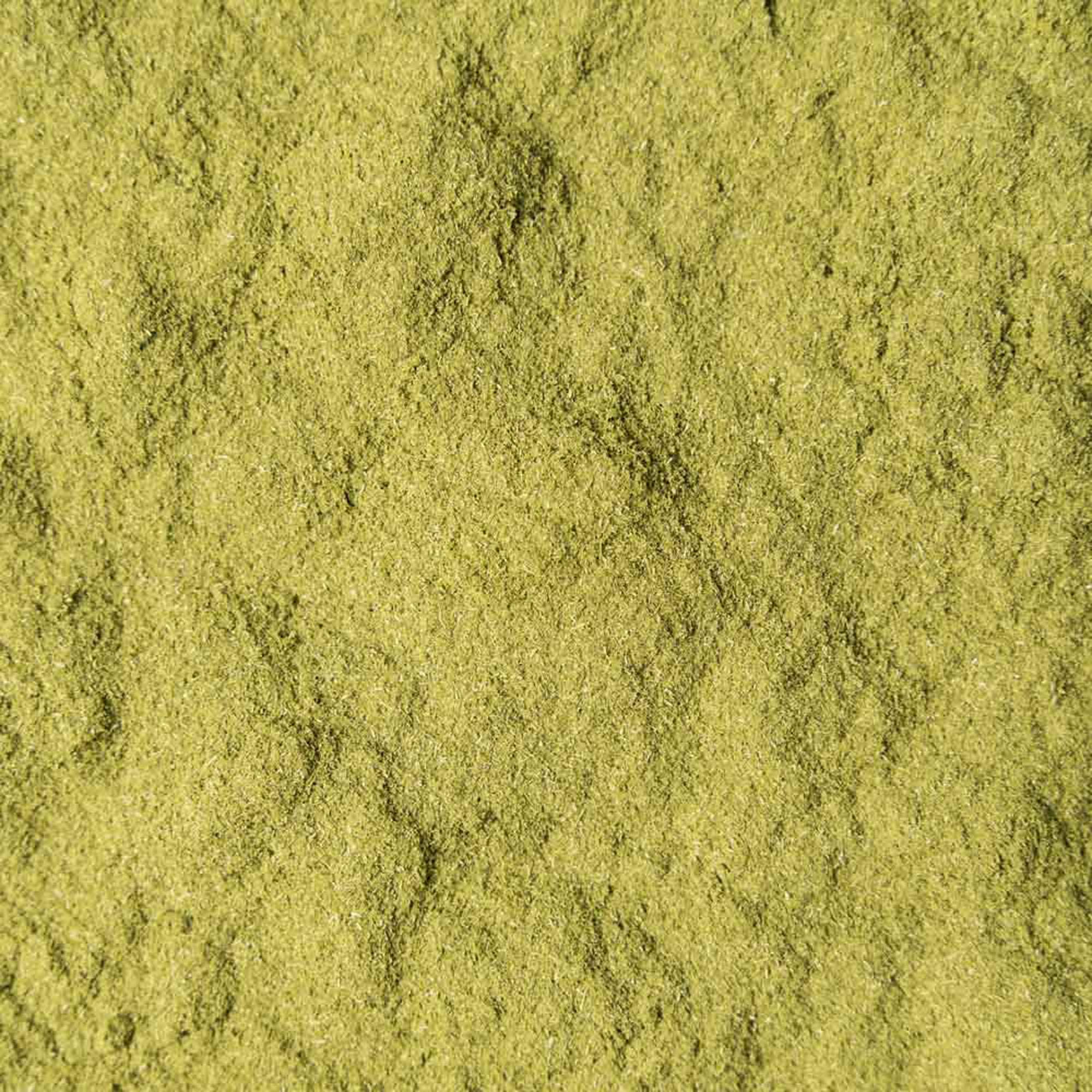 Polvere di orzo verde biologica 1kg (2x500g) - polvere di orzo giovane e fine dalla Germania - certificata Bio - gusto delicato - confezionata e controllata in Germania - Biotiva