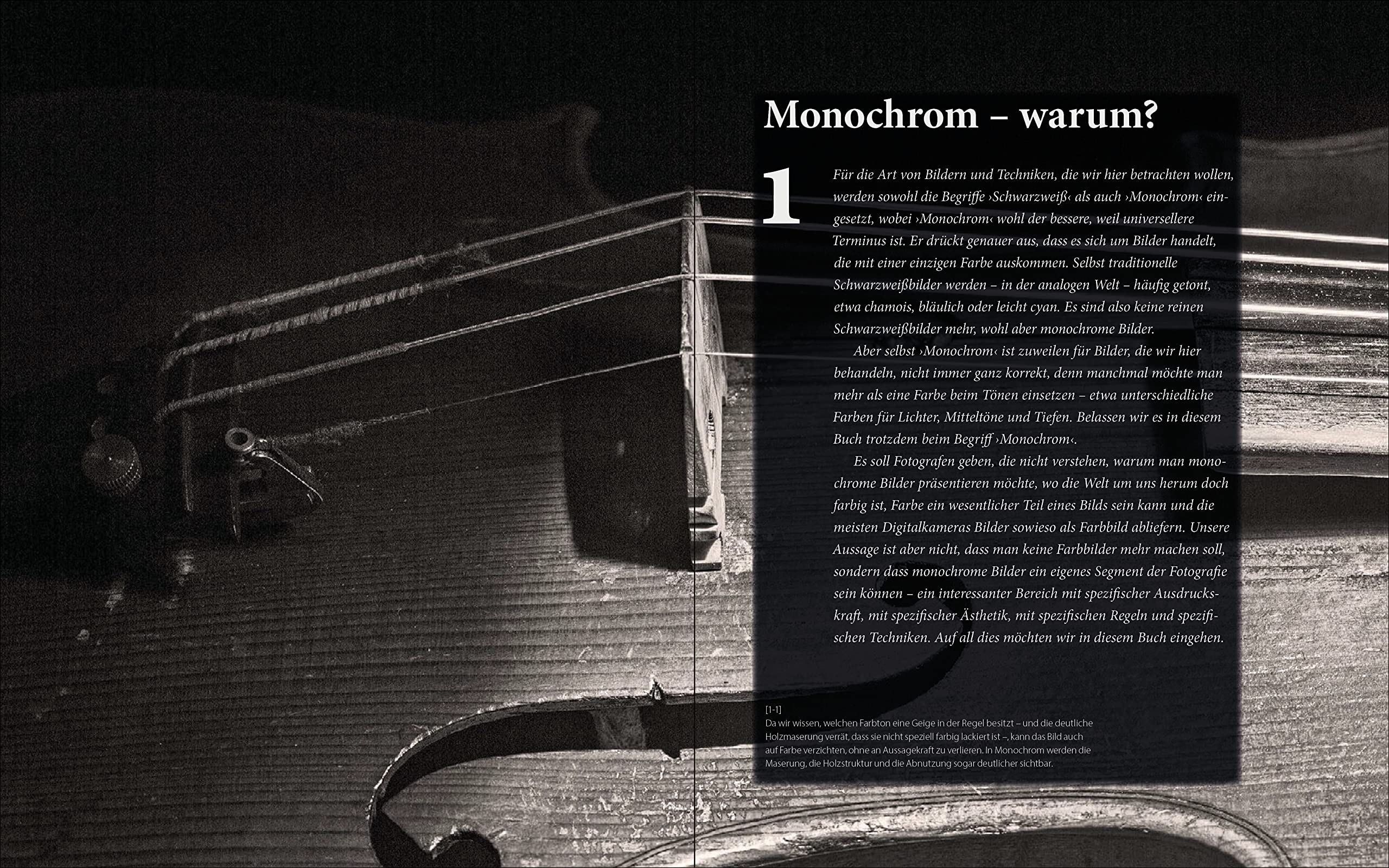 Monochrom: Schwarzweiß sehen, fotografieren, bearbeiten, drucken