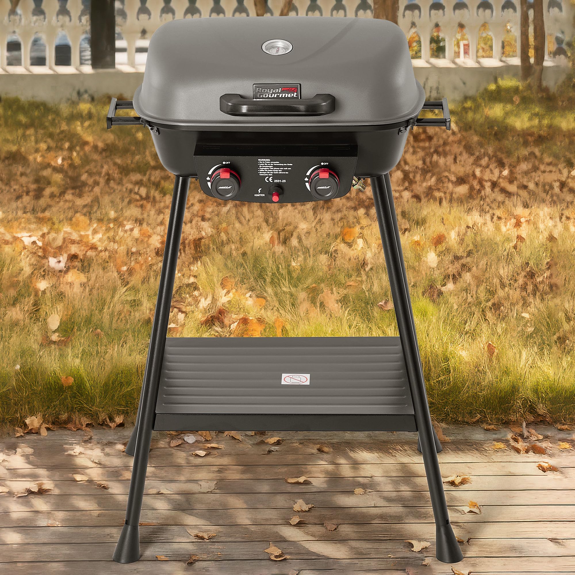 Royal Gourmet 2- Brenner Gasgrill kleiner Balkon-Picknick-Grill, 5 kW Grillwagen für Garten und Camping mit leicht demontierbaren Grillständer, Grau