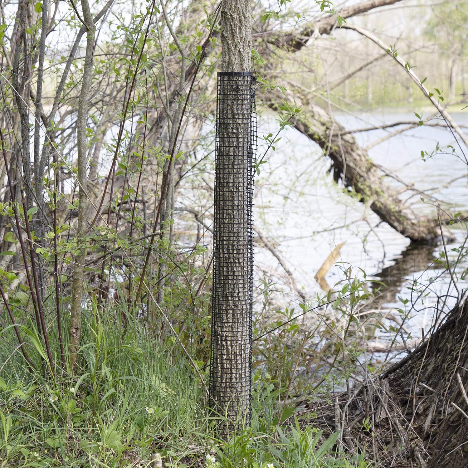 Tree Guard Pack | Plastic Mesh Tree Bark Protector | Deer Guard | 36" Tall x 4" Diameter (Pack of 5)