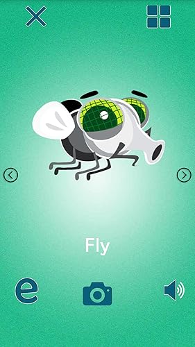 Learning animals sound / picture