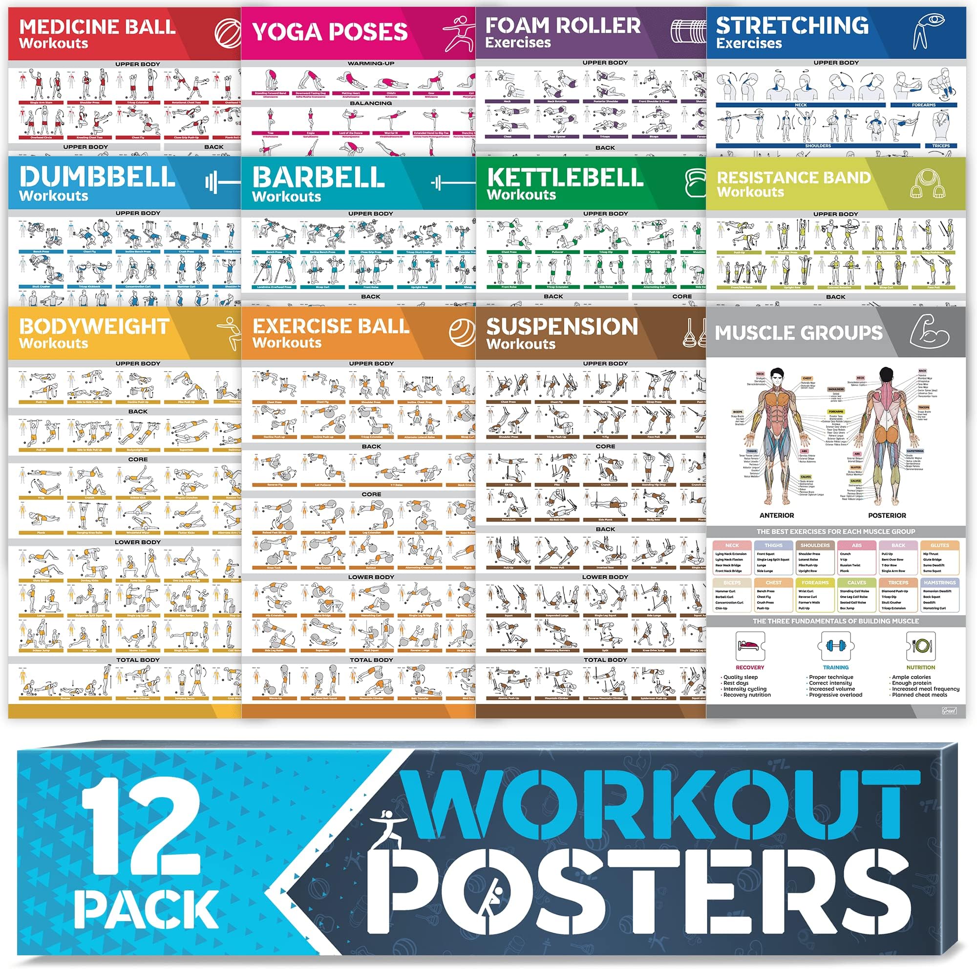 [12-PACK] Laminated Large Workout Poster Set - Perfect Workout Posters for Home Gym - Exercise Charts Incl. Dumbbell, Yoga Poses, Resistance Band, Kettlebell, Stretching & More Fitness Gym Posters