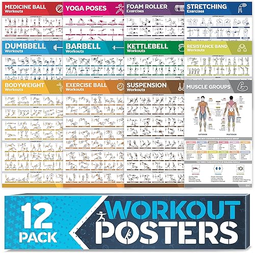 [12-PACK] Laminated Large Workout Poster Set - Perfect Workout Posters