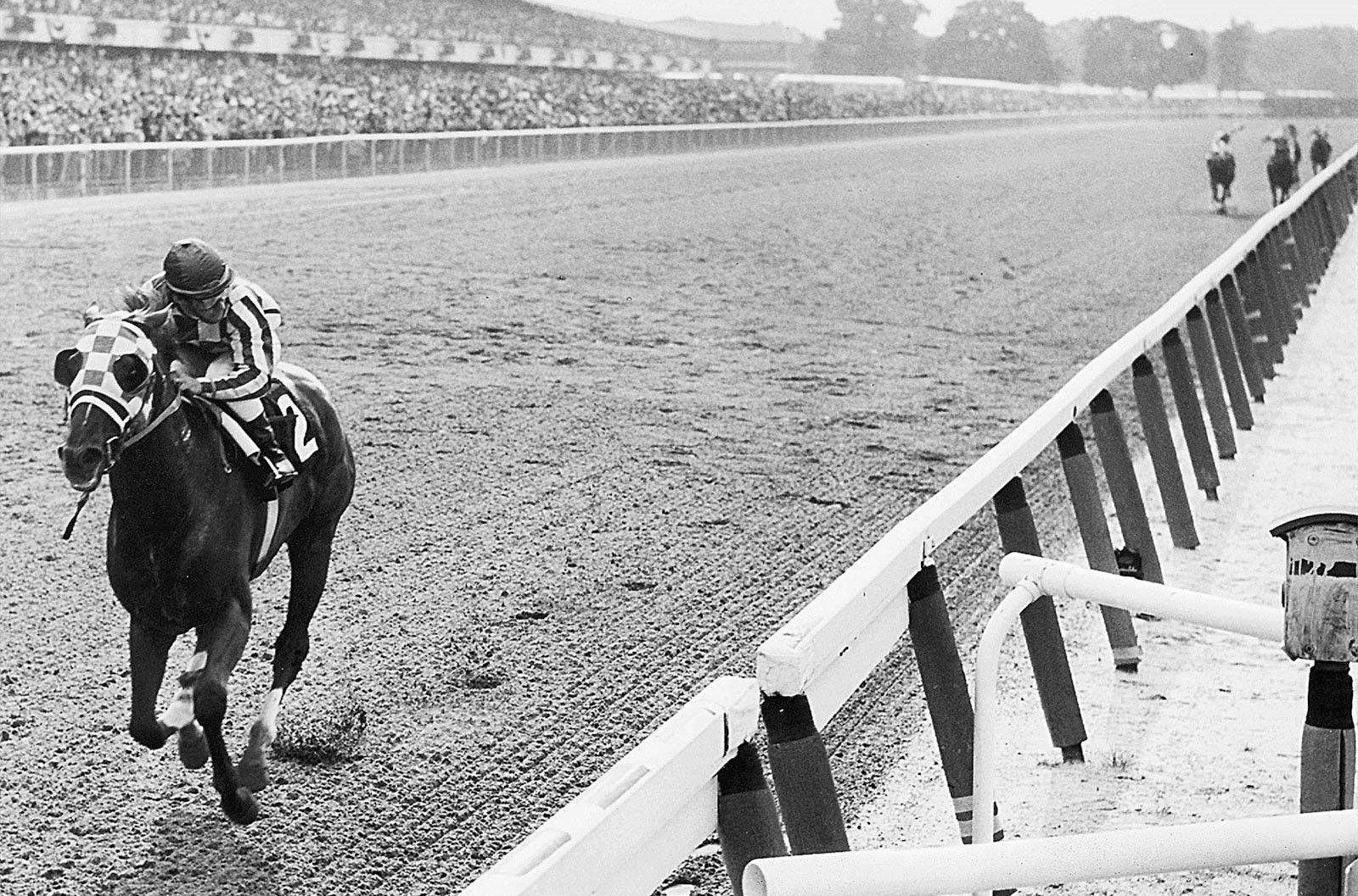 Secretariat, Belmont Stakes, Looking Back, Triple Crown Champion, 1973