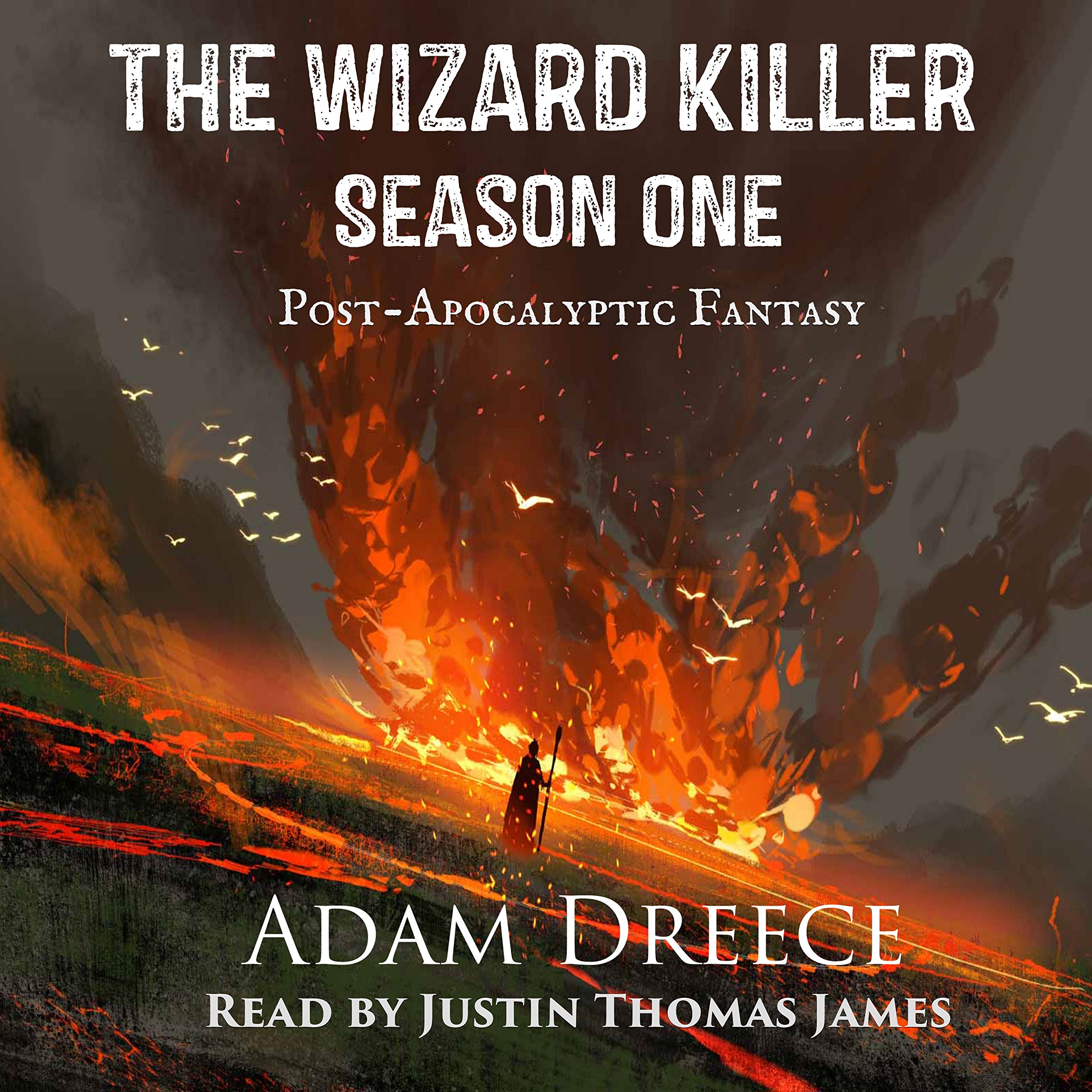 Cover art for The Wizard Killer, Season 1