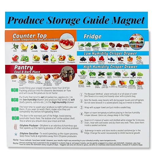 Produce Storage Guide Magnet - How to Store Food Magnet
