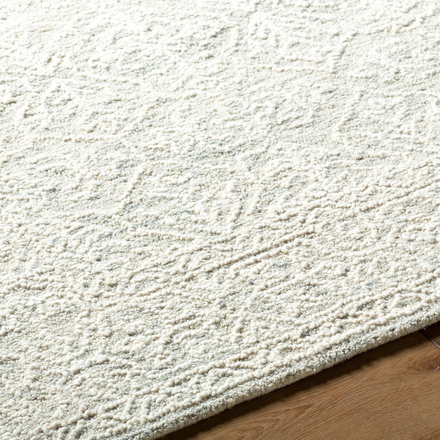 Livabliss Sicily Transitional Border Area Rug,2' x 3', Taupe