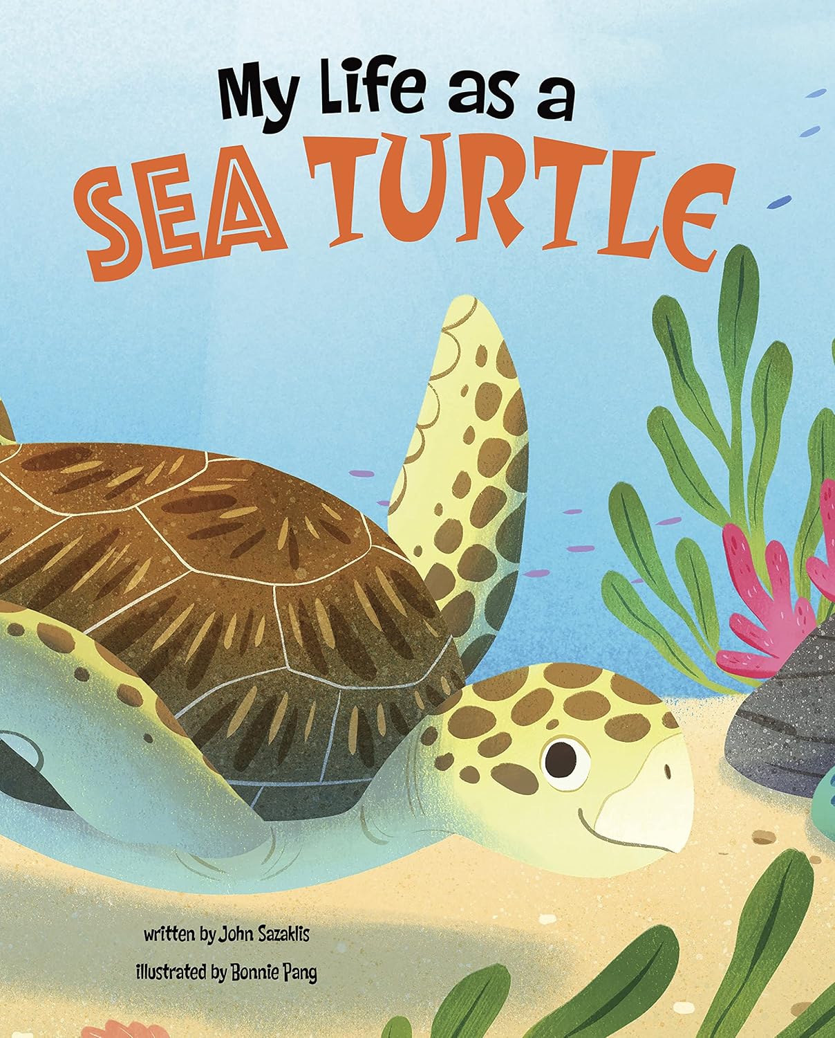 My Life as a Sea Turtle (My Life Cycle)