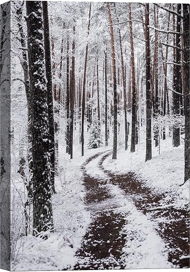 Amazon.com: SIGNWIN Canvas Wall Art Winter Trees Cool Dramatic Forest ...