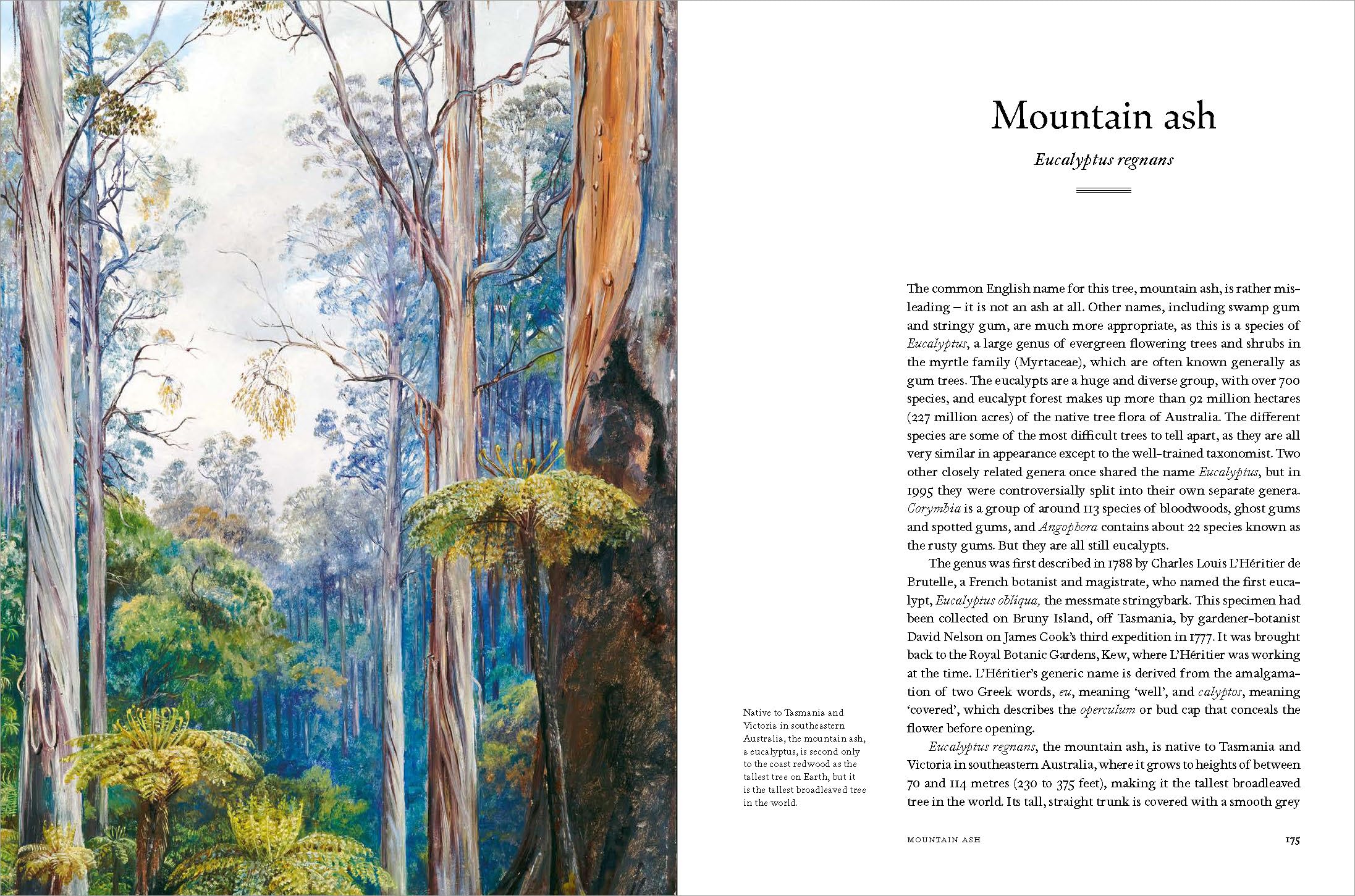 Remarkable Trees