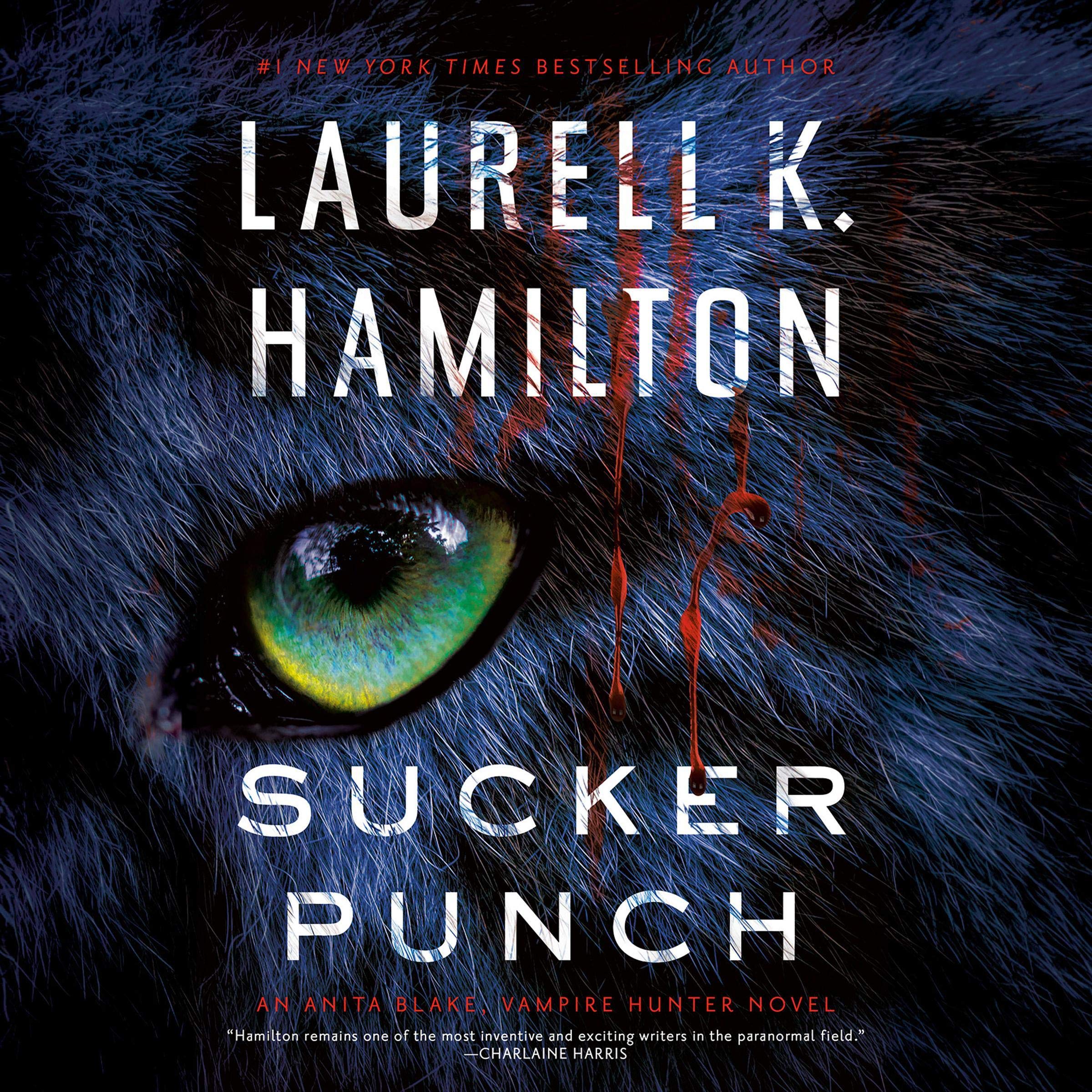 Cover art for Sucker Punch