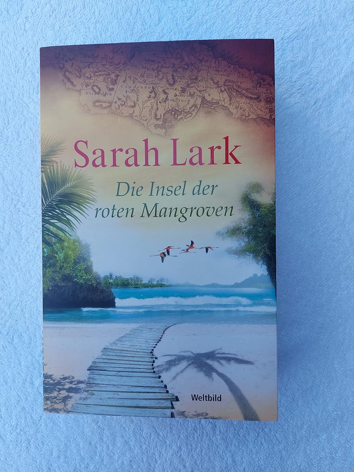 Die Insel der roten Mangroven 9783785724606 Sarah Lark Books