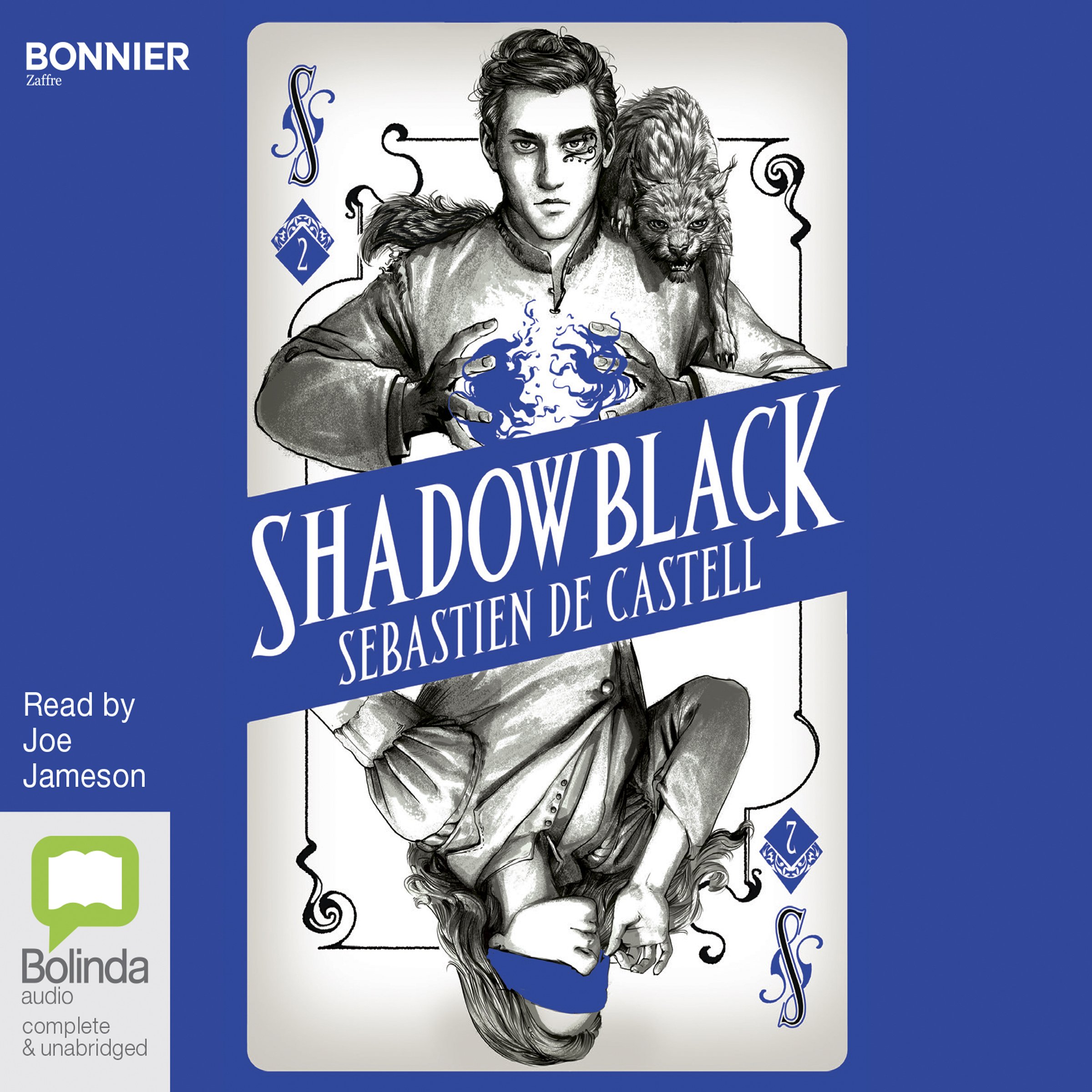 Cover art for Shadowblack