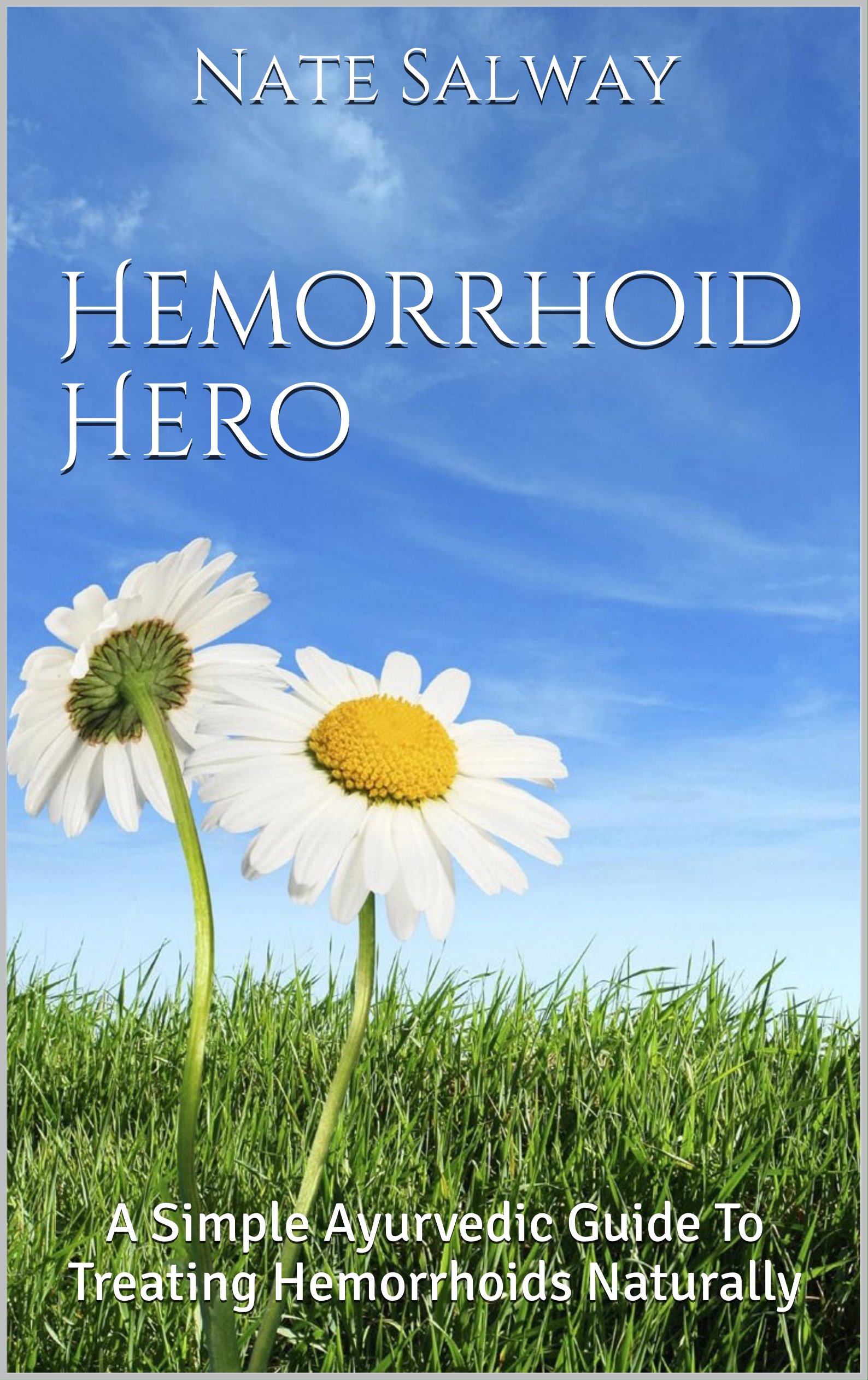 Buy Hemorrhoid Hero A Simple Guide To Treating Hemorrhoids Naturally