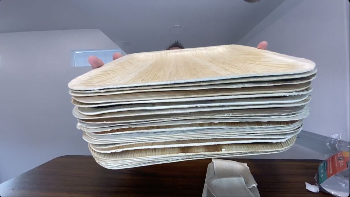 BEST Disposable Plates? | ECO SOUL 10 inch Palm Leaf Plate