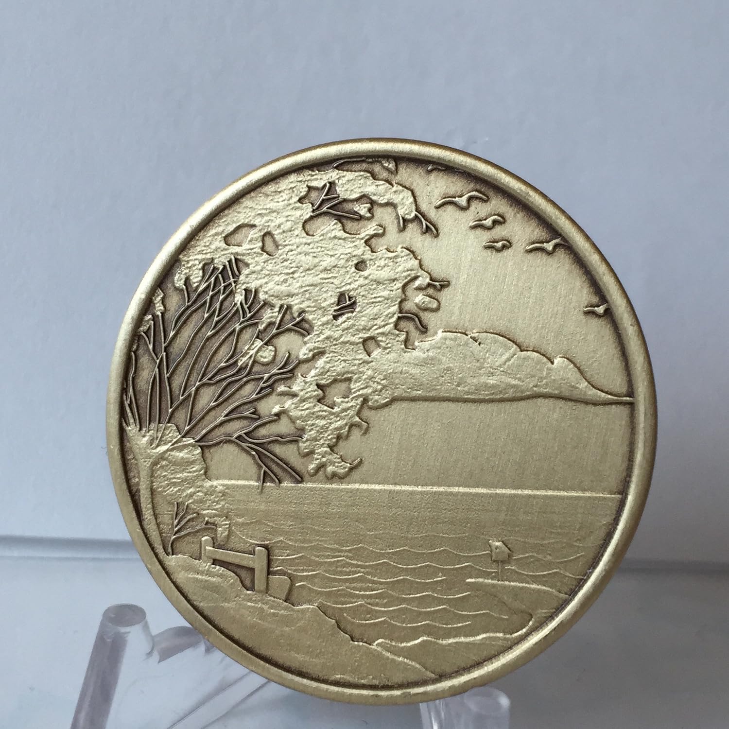 Bulk Lot of 25 Serenity Lake Peace Within The Storm Bronze Medallions Chip Wholesale Set