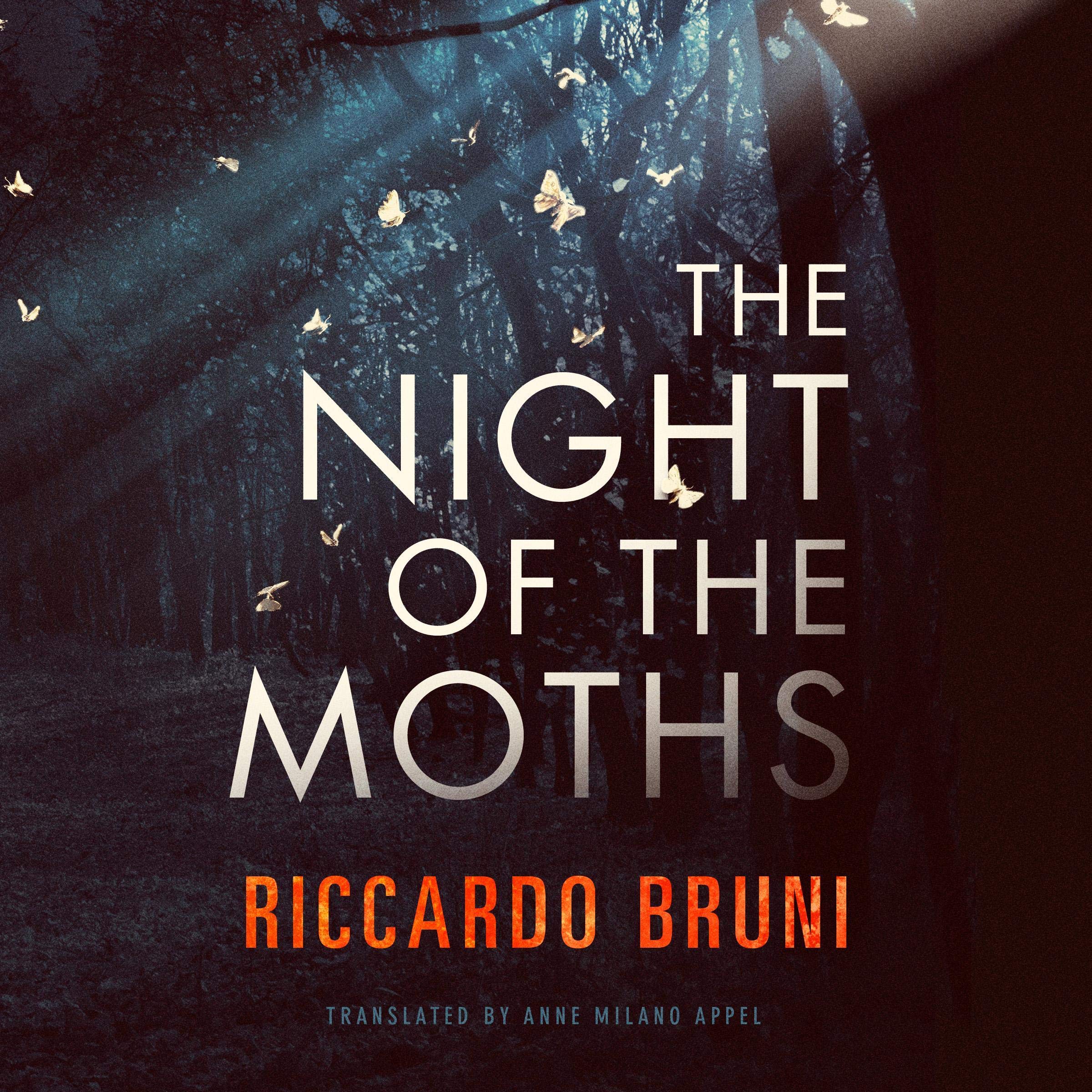 Cover art for The Night of the Moths