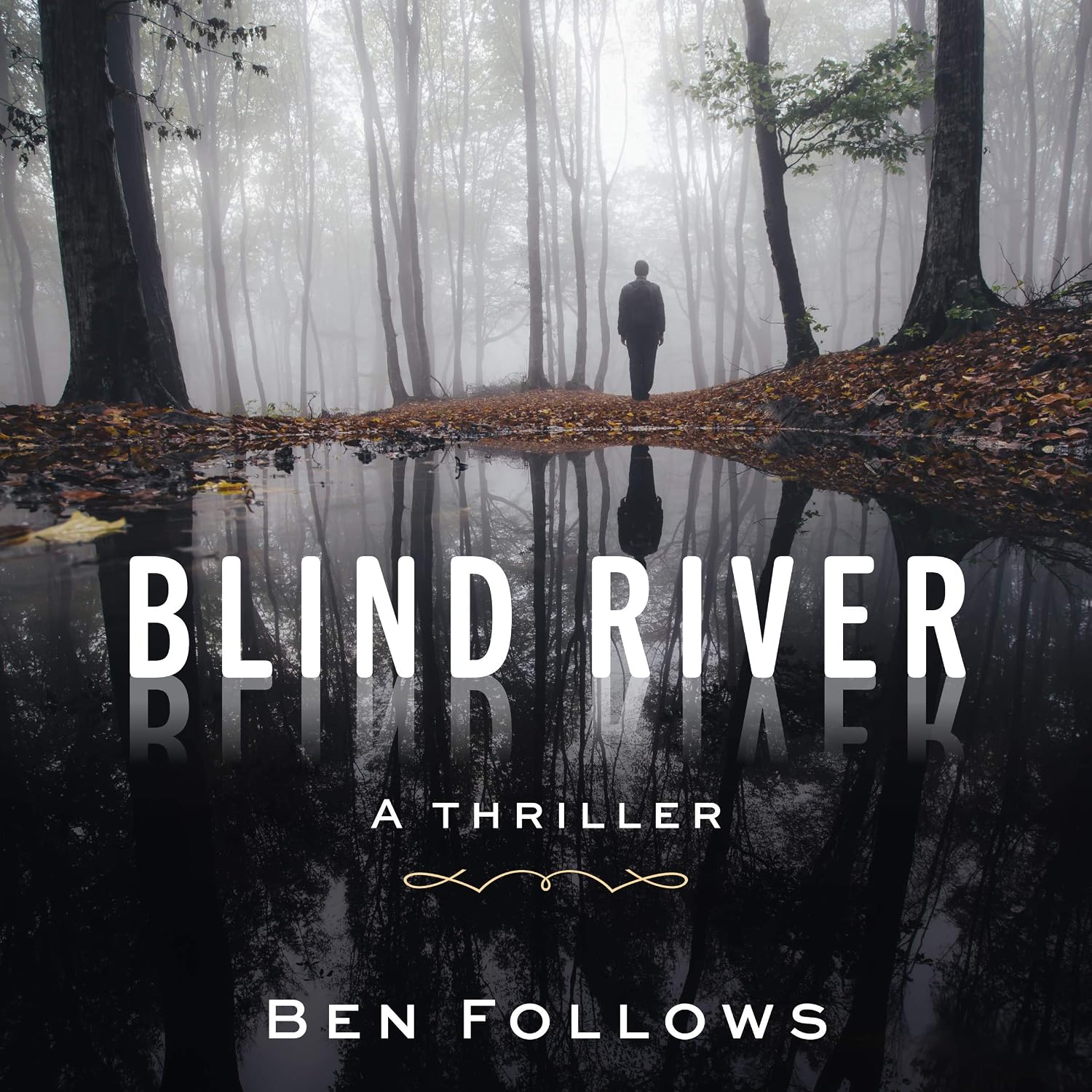 Blind River: A Thriller