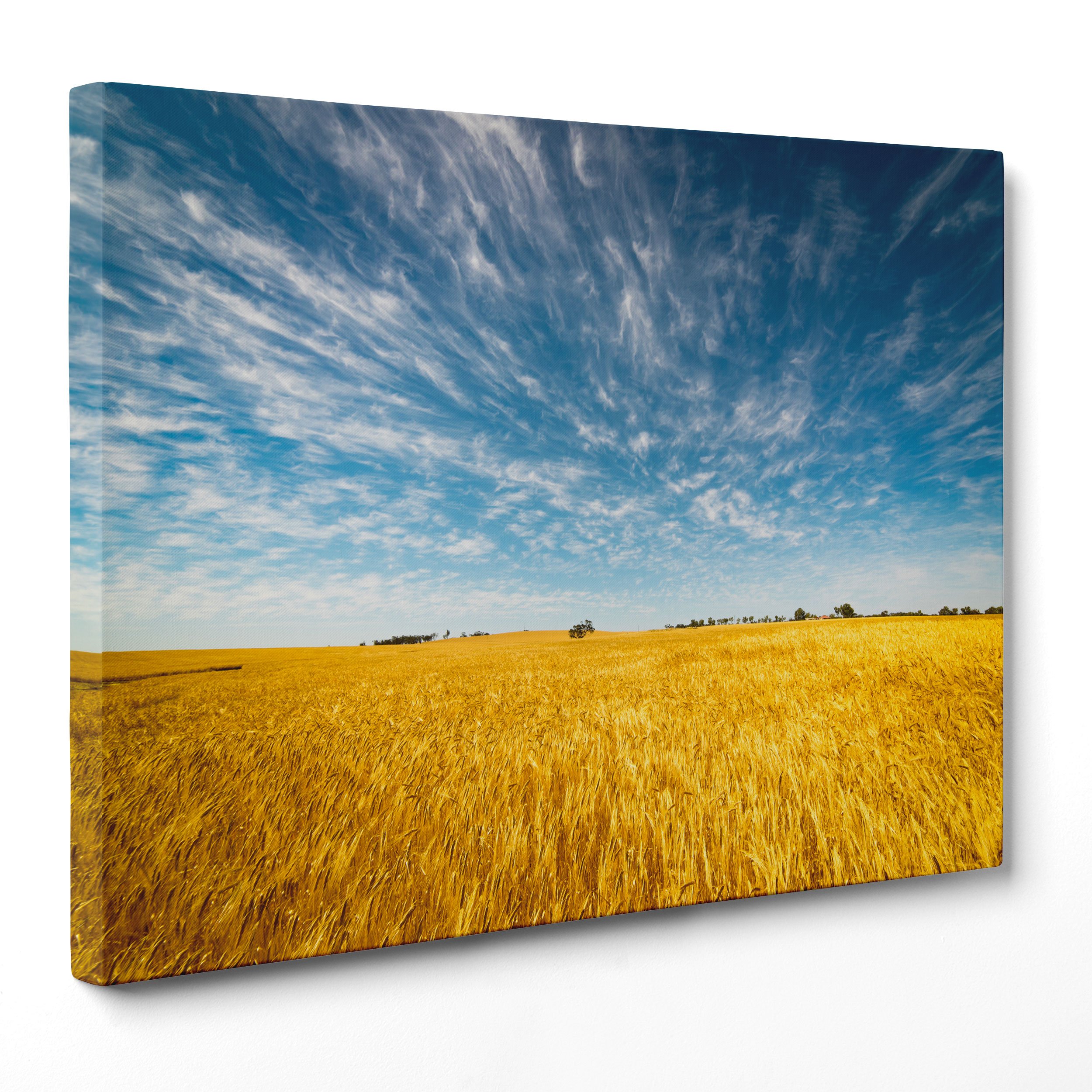 Cuadro sobre lienzo Canvas – ConKrea – Listo para colgar – Campo De Trigo – Granja