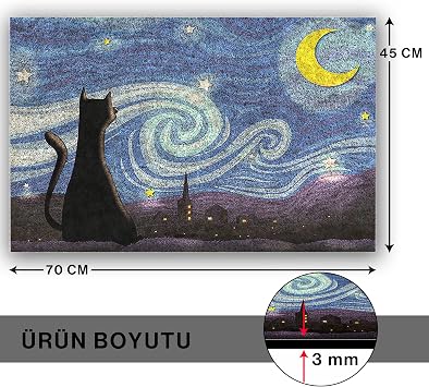 Monnhein Kedi Köpek Komik Tasarımlı Dekoratif Kapı önü Paspas, Dış Mekan/Ev İçi/Banyo/Mutfak/Yatak Odası/Giriş Paspasları (Gece Kedi, 45x70)