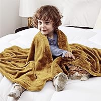 Vista 258 de Bedsure - Manta de vellón, tamaño queen, suave, ligera, afelpada, mullida, acogedora, de microfibra de lujo, color rosa, 90 x 90 pulgadas