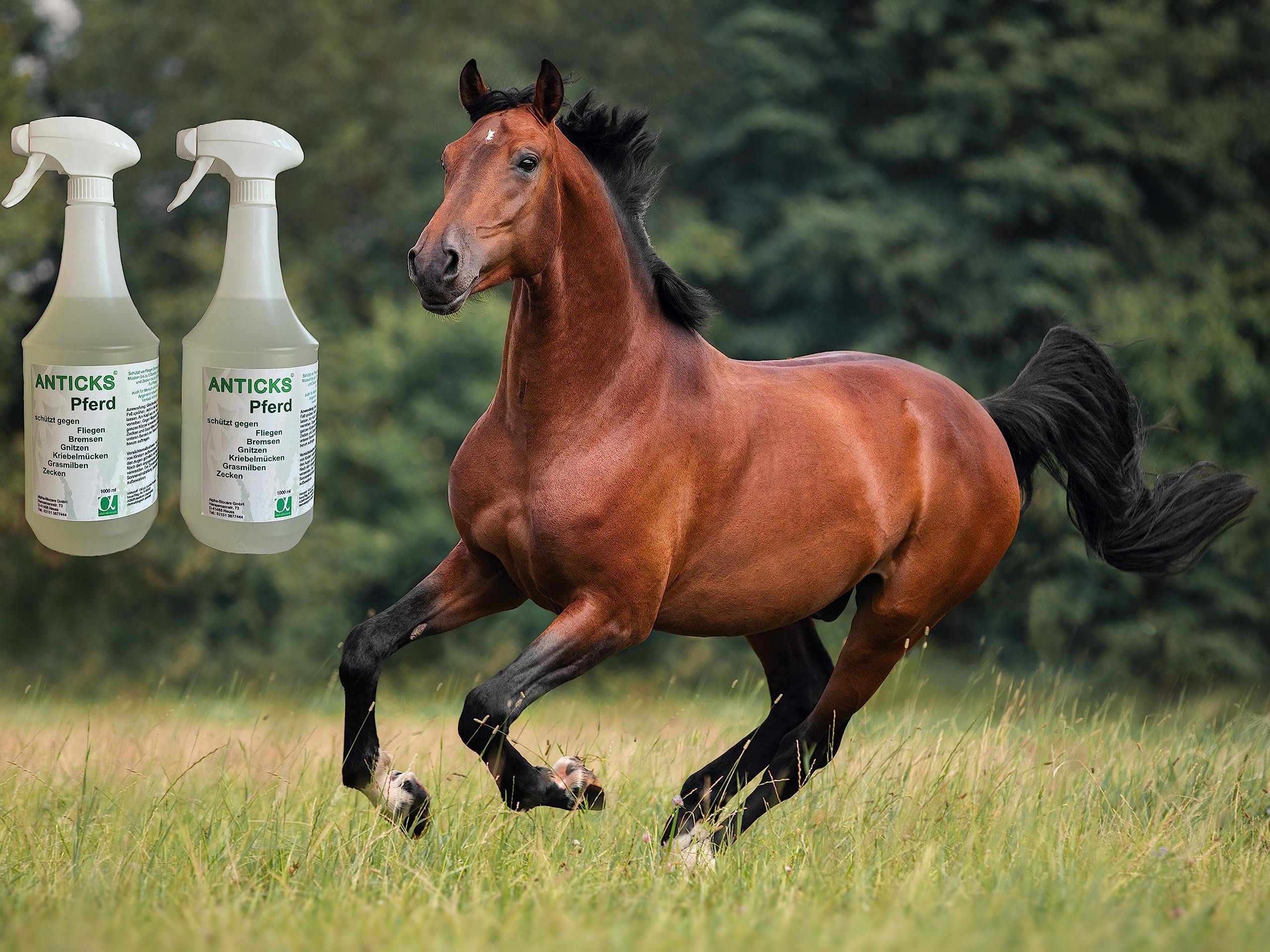 Pferd Effizienter, langanhaltender Schutz vor Fliegen, Bremsen, Mücken, Milben, Flöhen, Zecken, Gnitzen, Kriebelmücken (2 x 1l)