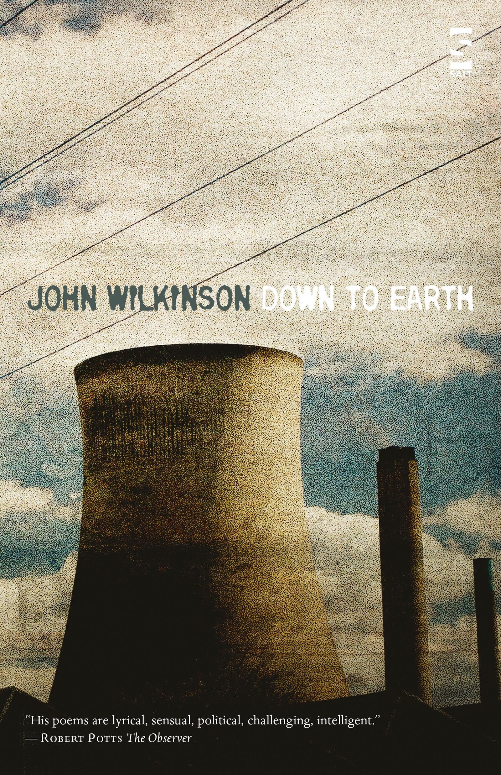 Down to Earth (Salt Modern Poets S.)