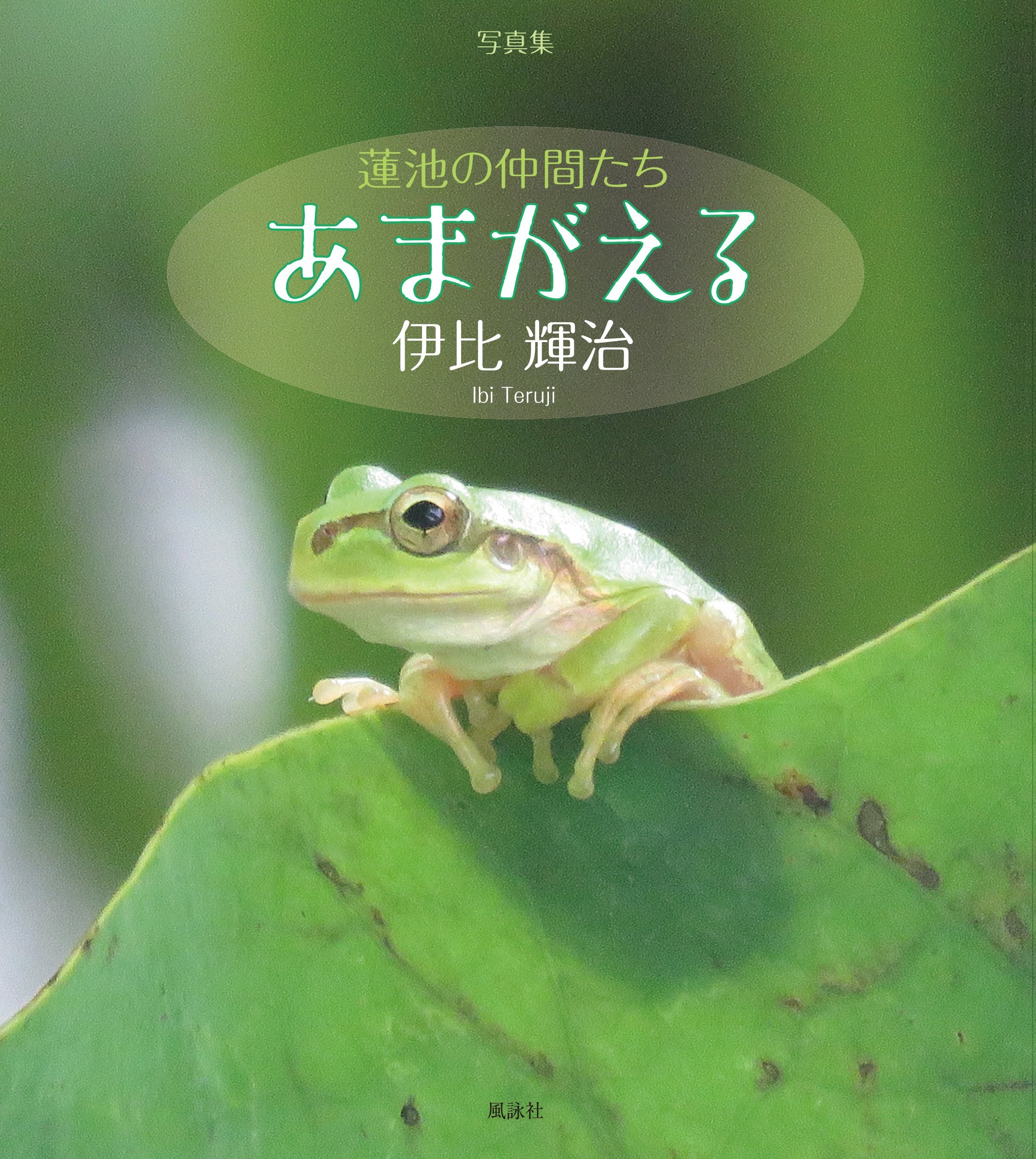Amazon.co.jp: 蓮池の仲間たちあまがえる: 写真集 : 伊比 輝治: 本