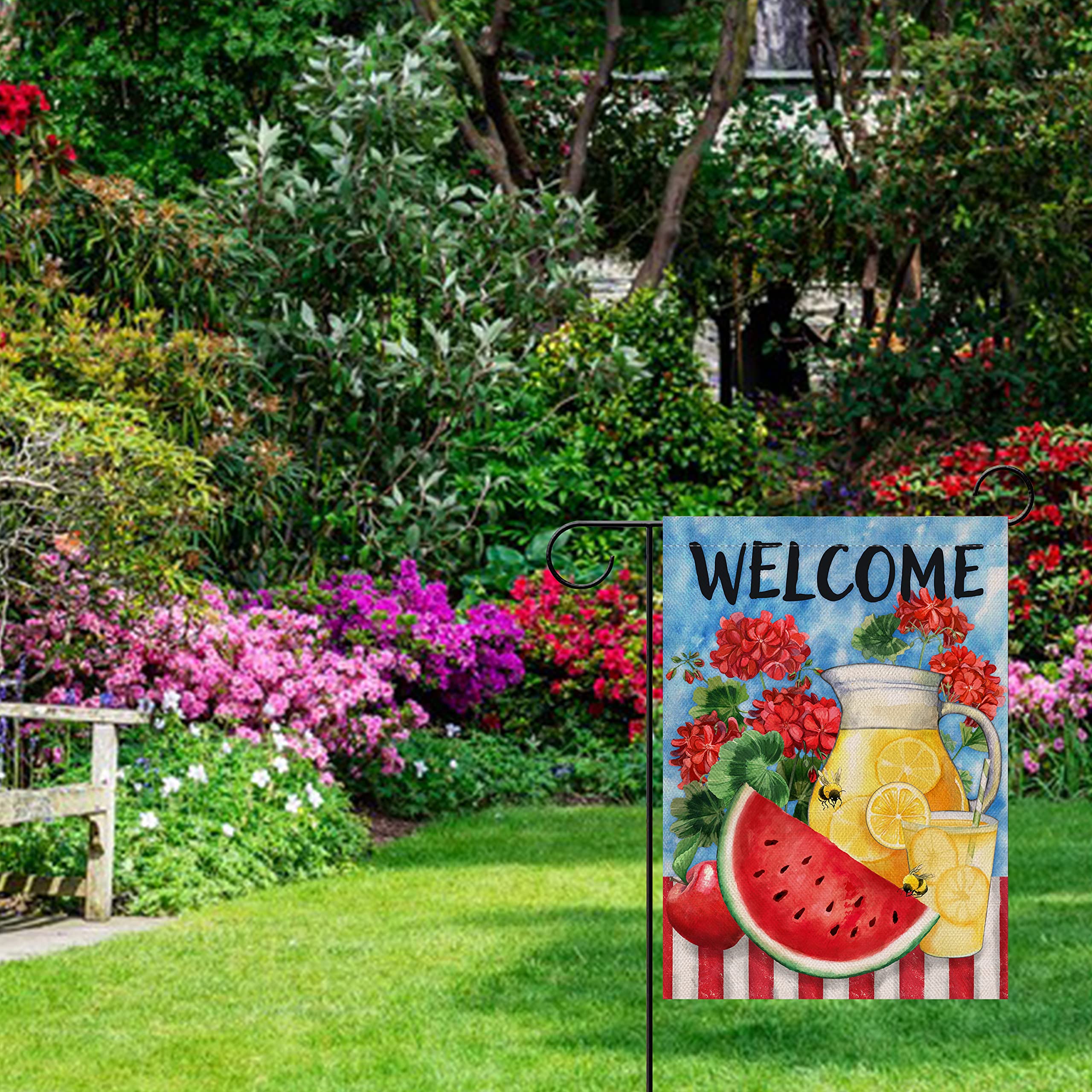 Amazon.com : Furiaz Welcome Summer Watermelon Lemon Juice Small