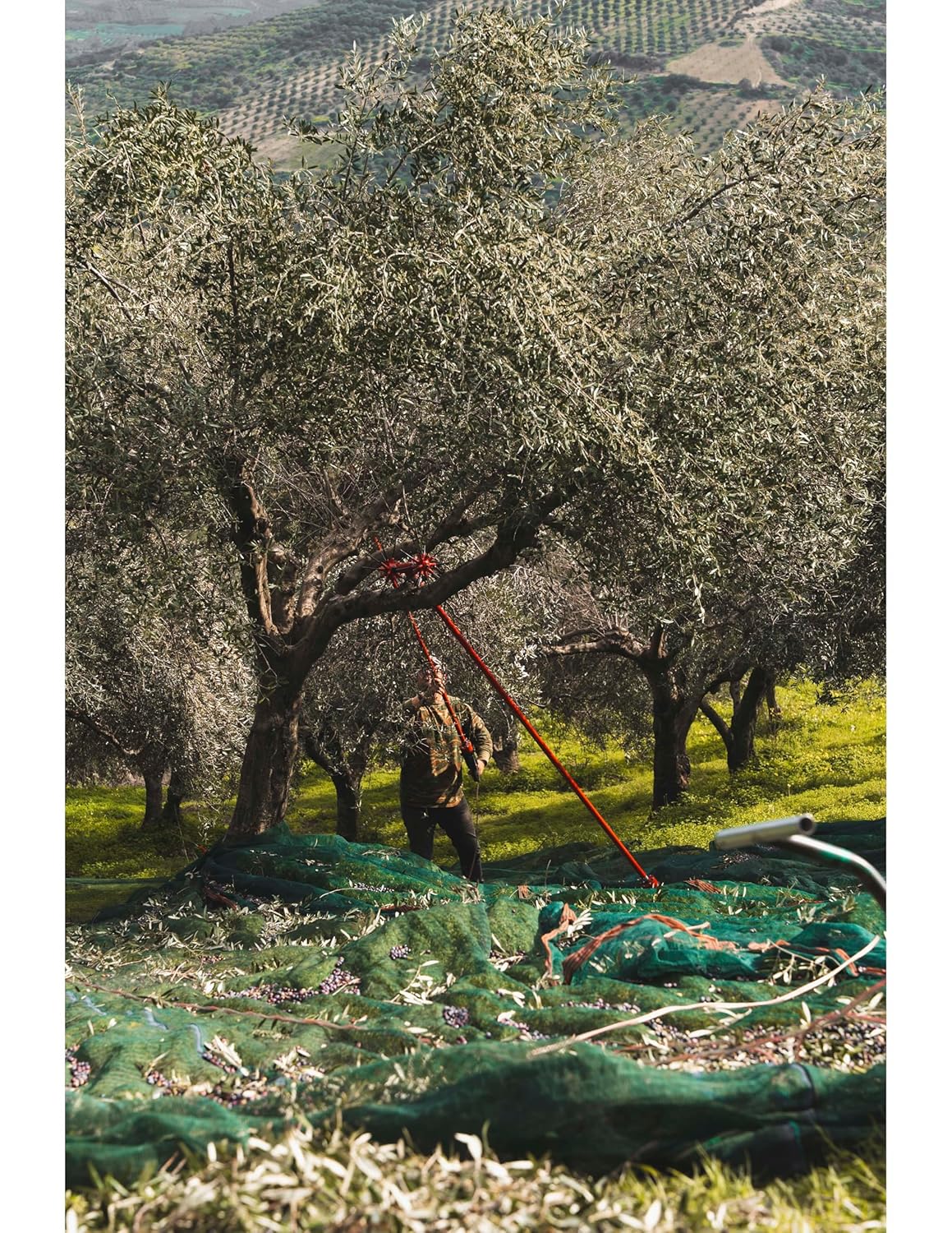 Savou Extra Virgin Olive Oil – Platinum Award-Winning Cretan EVOO | 100% Koroneiki Variety | Cold-Pressed, Monovarietal, 750ml | Premium Greek Olive Oil by Savouidakis