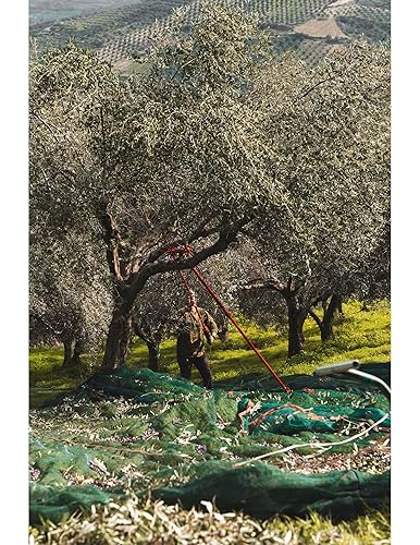 Miniatura 7 de Savou Aceite de oliva virgen extra  AOVE cretense galardonado de platino  Variedad 100% Koroneiki  Prensado en frío, monovarietal, 25.4 fl oz