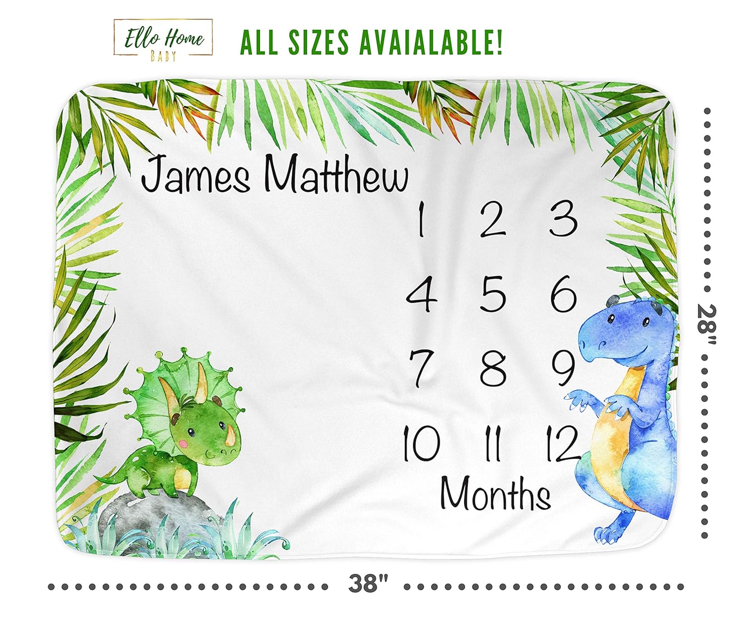 Dinosaur Month Blanket Boy, Baby Monthly Milestone Blankets, Infant Dino Nursery Tyrannosaurus Rex, Triceratops, Nap Mat Girl, Photography Photo Props (Smooth 38x28)