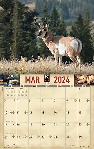 Miniatura 3 de The KING Company-Monster Calendars - Calendario de pared 2024 con vida silvestre de América del Norte, 16 meses, tamaño XL, 14 x 22 pulgadas,