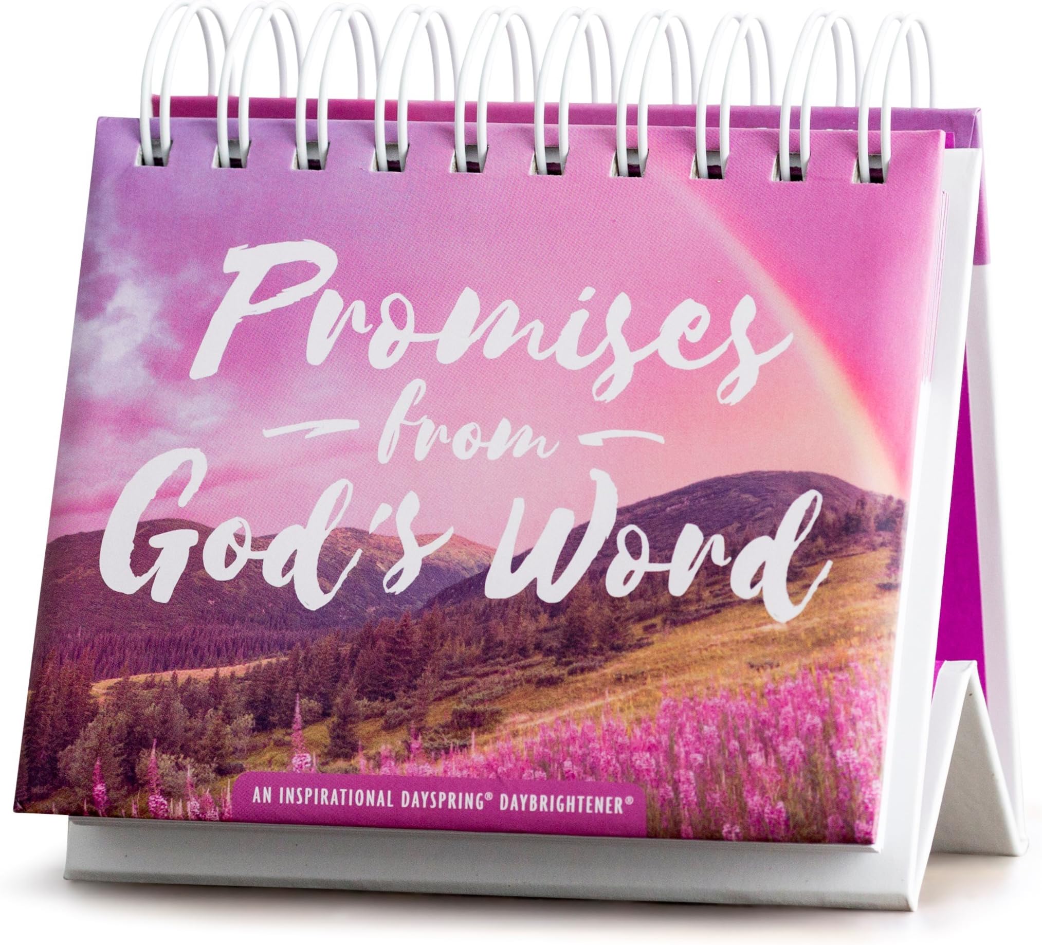 Promises from God's Word - Perpetual Calendar (71350), Red, 5 1/4" x 4 3/4" x 1 1/4"