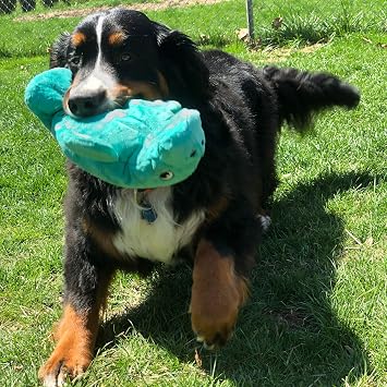 SmartPetLove Snuggle Puppy Tender-Tuffs Large Plush Dog Toys Bundle - XL Hammerhead Shark and Manatee - Tough Marine Animal Squeaky Toys