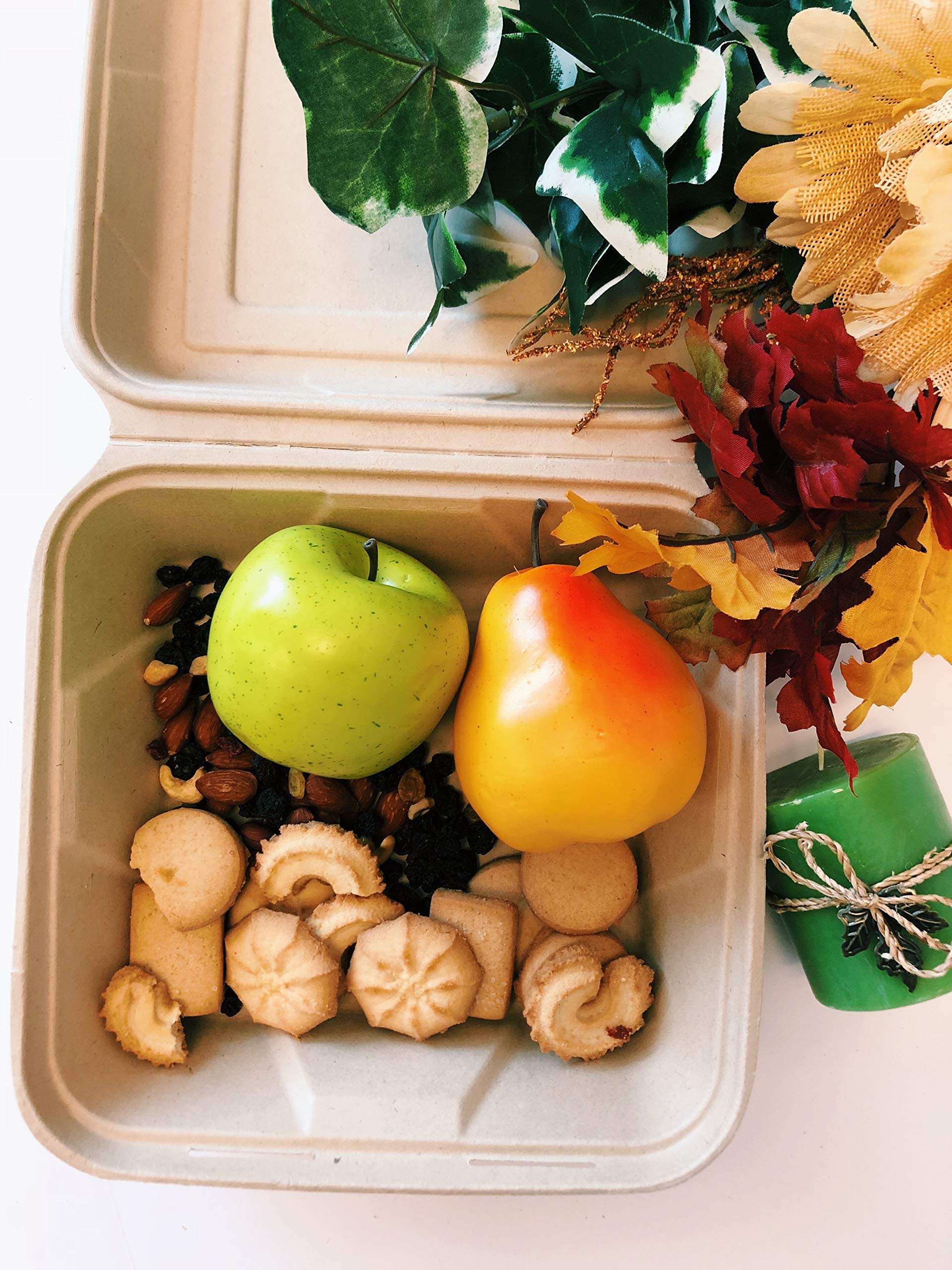 Buy 100 Compostable Disposable Food Containers with Lids [8”X8” 200