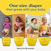 Vista 5 de Charlie Banana Pañales de tela, reutilizables, lavables, ajustables, talla única, para bebés y niños pequeños, con inserto absorbente, rayas