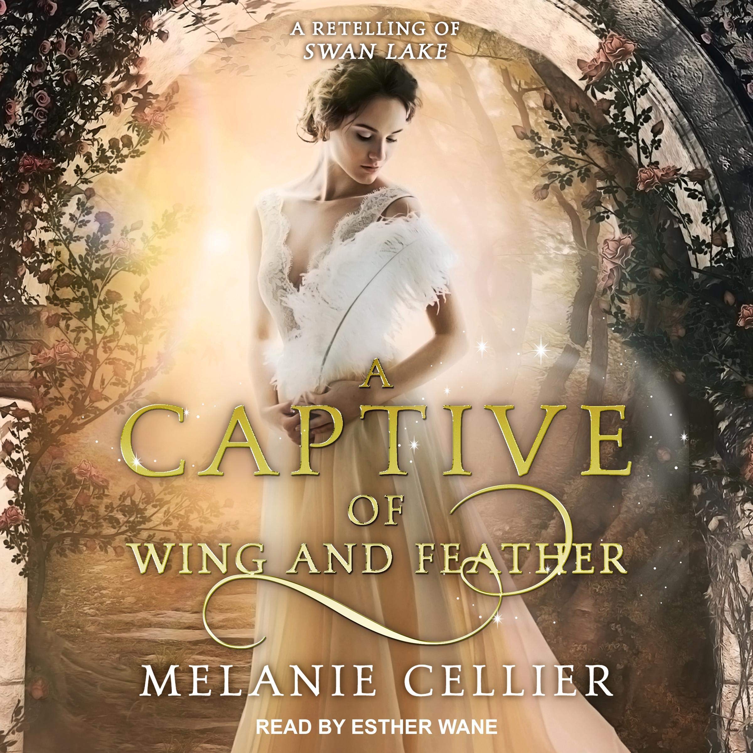 Cover art for A Captive of Wing and Feather