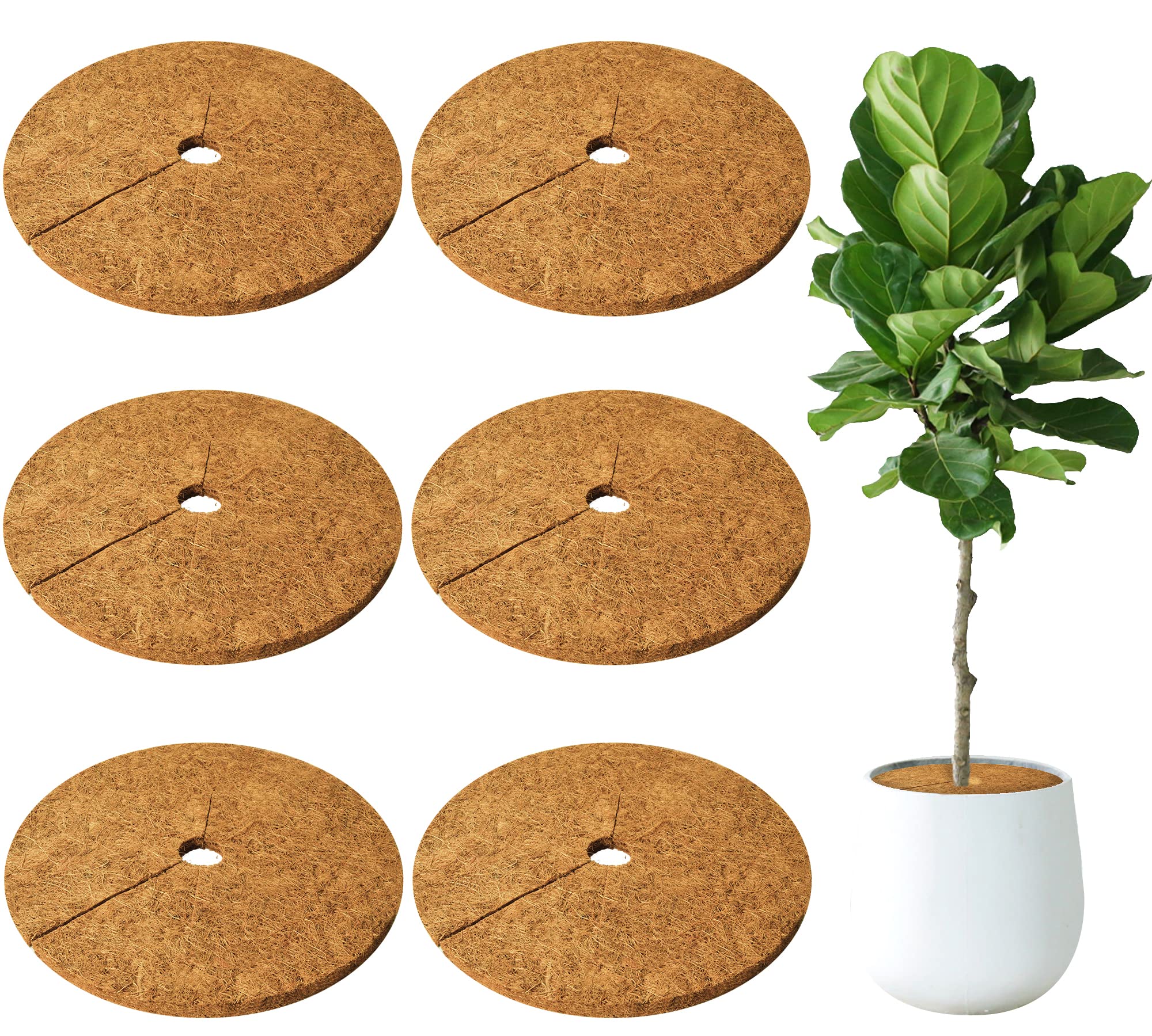 HFHOME 6pcs 24" Dia Coconut Fibers Tree Mulch Ring Protector Mat, 24 Inch Natural Coco Coir Tree Protection Mats, Tree Disc Plant Cover for Indoor