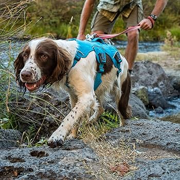 Amazon | RUFFWEAR ウェブマスターハーネス レッドカラント XXS