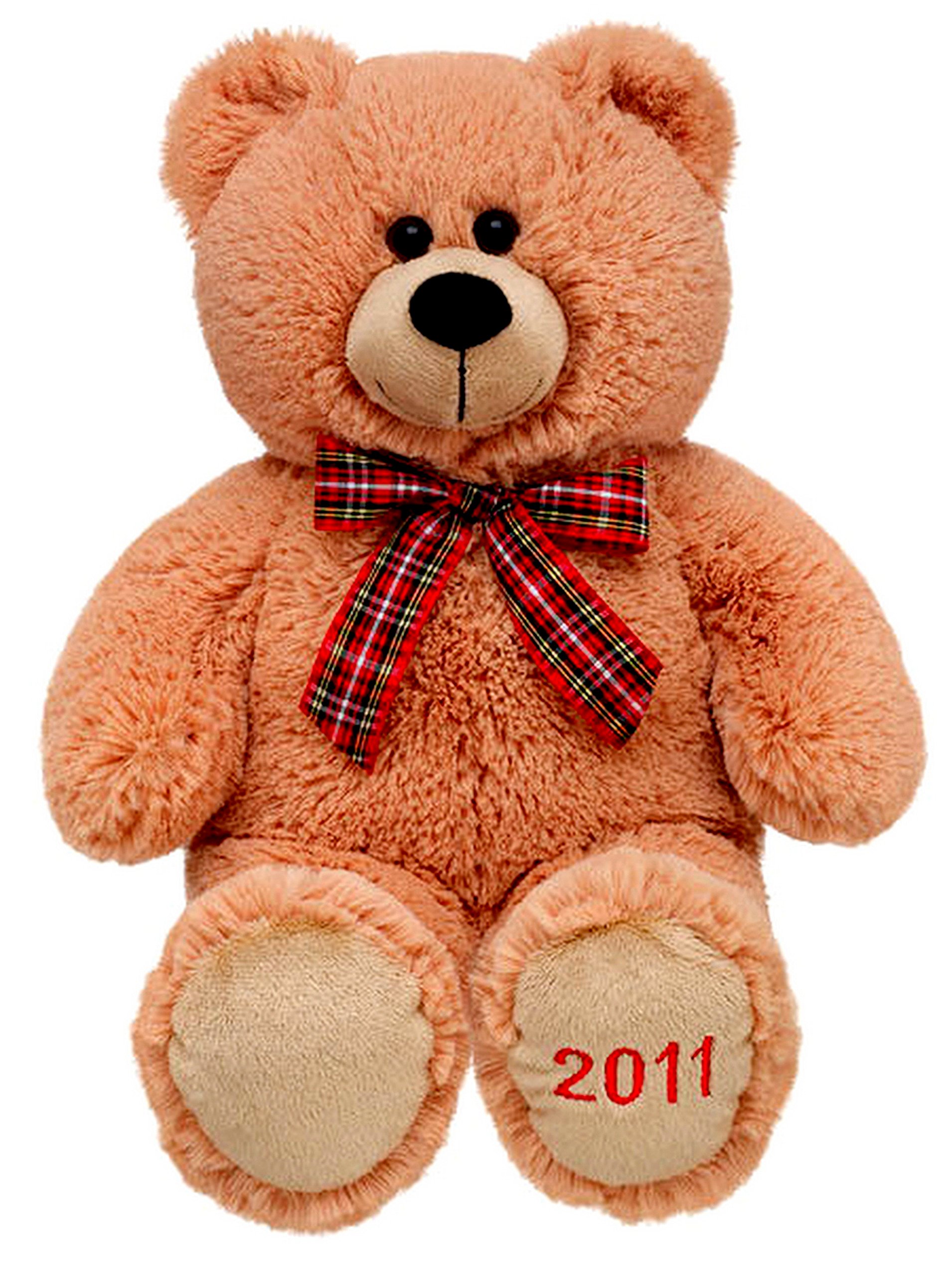 Amazon.com: Build a Bear 2011 Winter Wishes Teddy 16 inch Stuffed