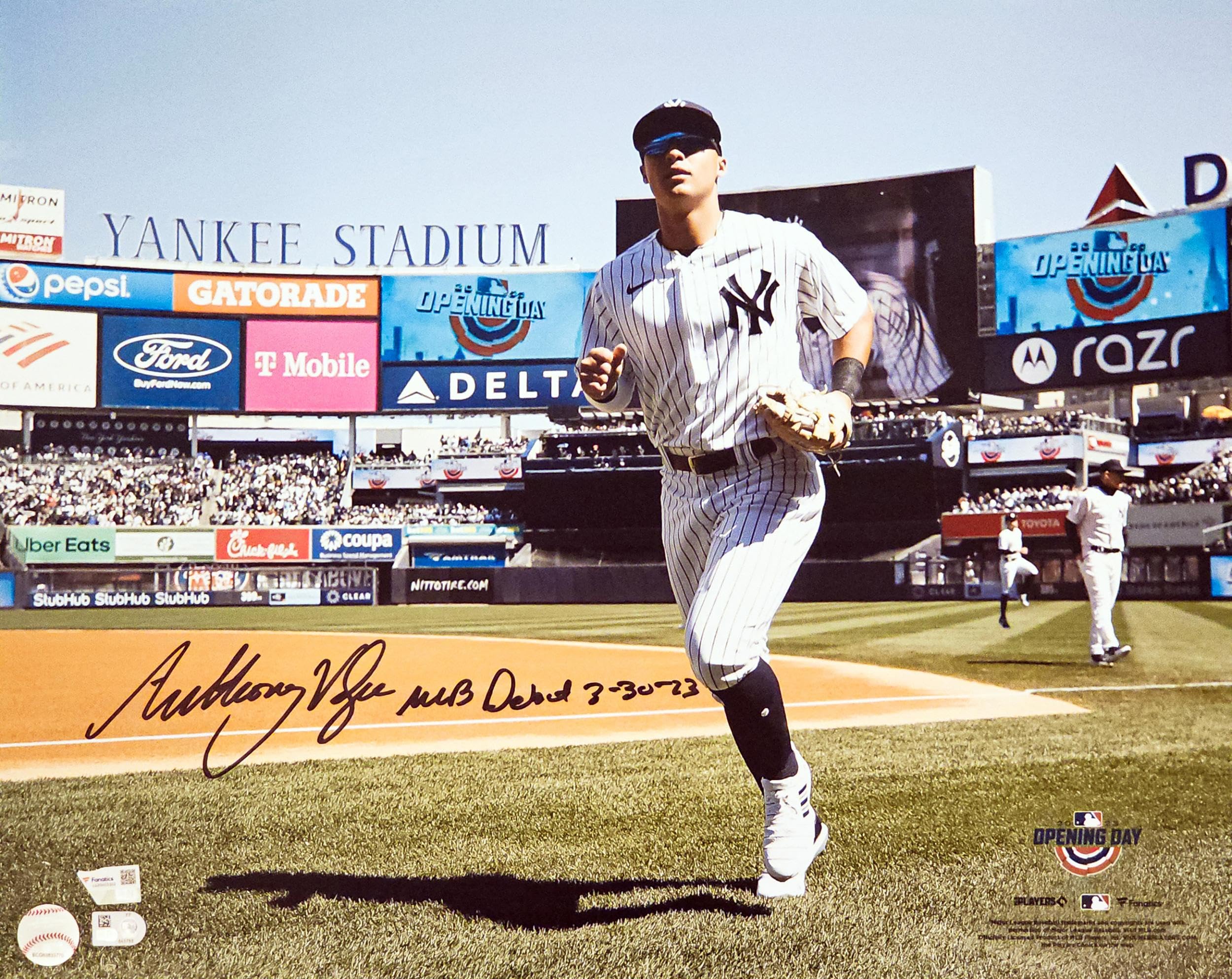 Anthony Volpe Autographed 16x20 Photo New York Yankees 
