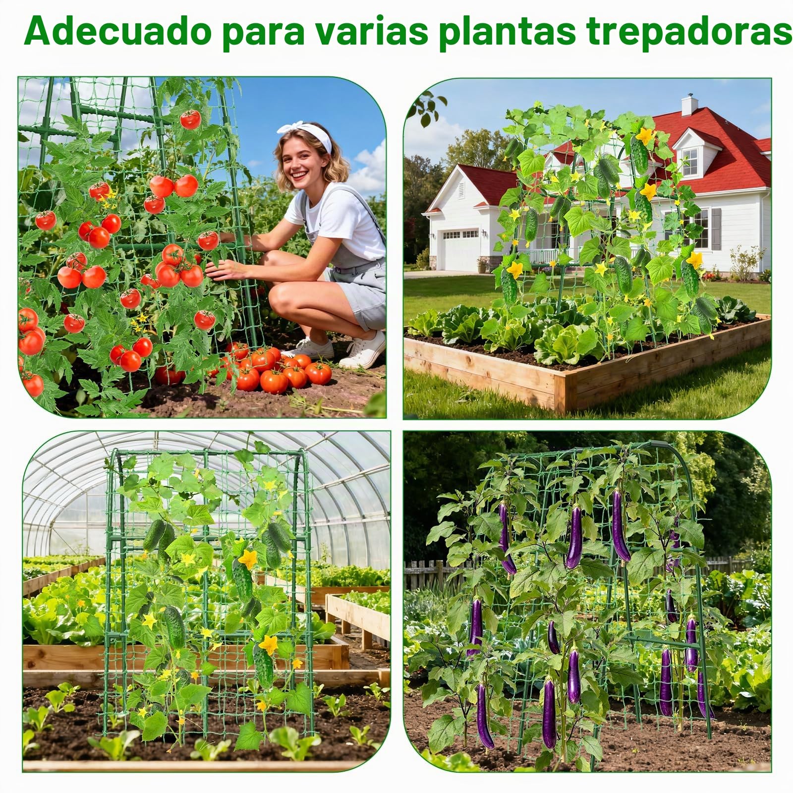 Enrejado de pepino para cama elevada, en forma de U, plantas trepadoras de exterior, arco de metal, para tomate, guisante y calabacín, 80 x 76 x 120 cm (largo x ancho x prof.), pequeño, H