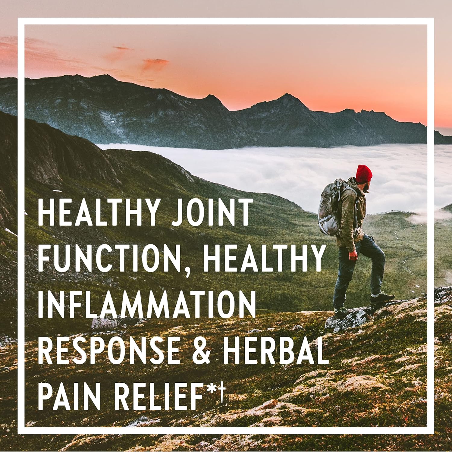 New Chapter MultiHerbal + Joint Supplement Zyflamend Whole Body for Healthy Inflammation Response + Herbal Pain Relief, Vegetarian Capsules, 180 Count : Health & Household