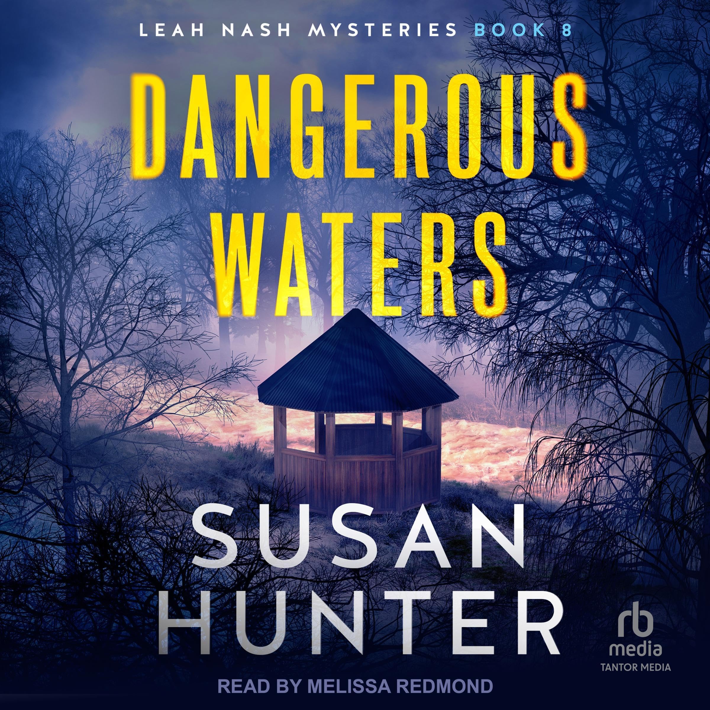 Cover art for Dangerous Waters