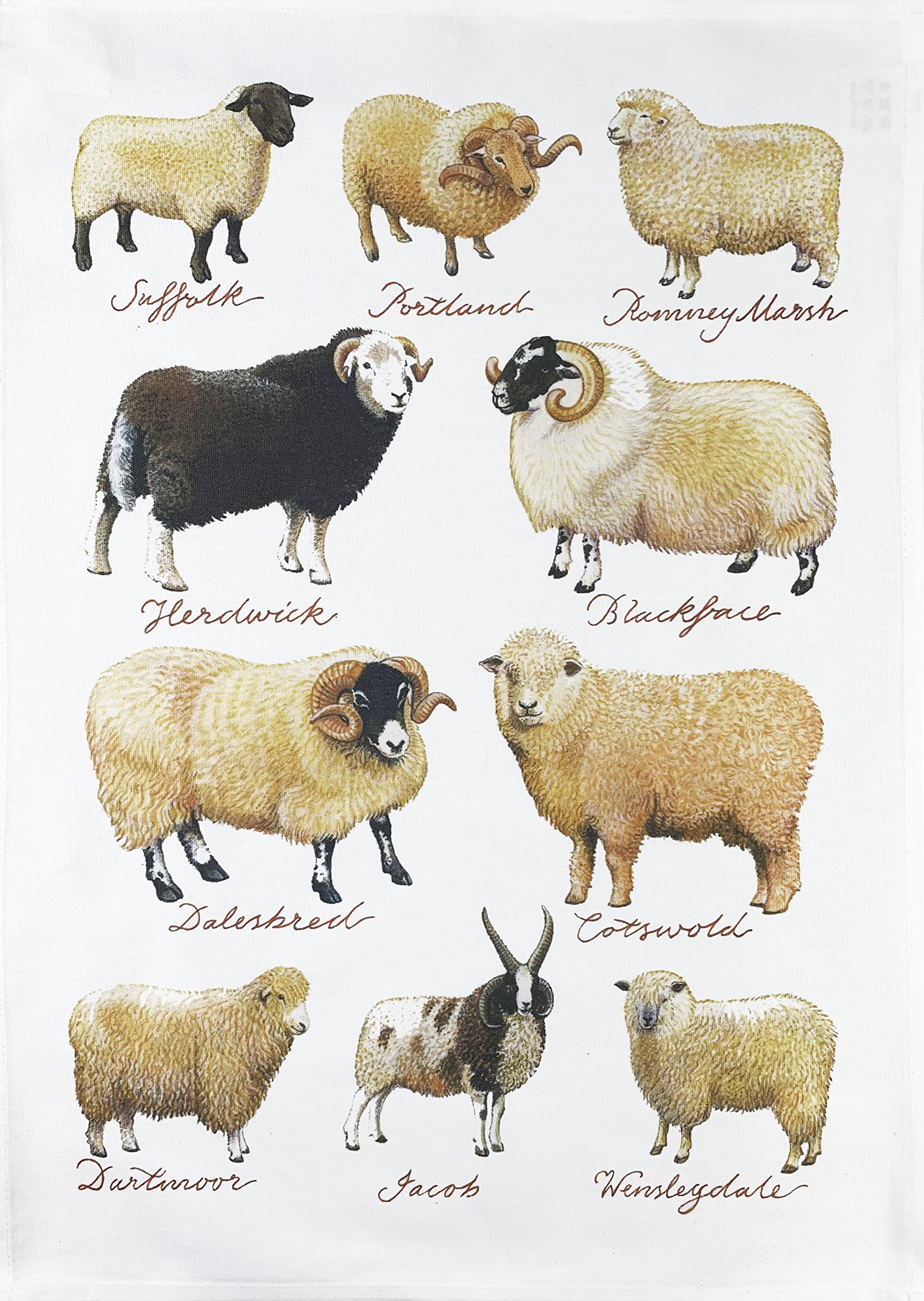 Half A Donkey White Collection Of Hand Drawn Sheep Large Cotton Tea Towel